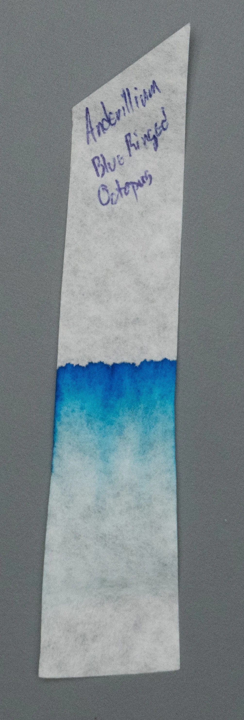 Anderillium Blue Ringed Octopus-6.jpg