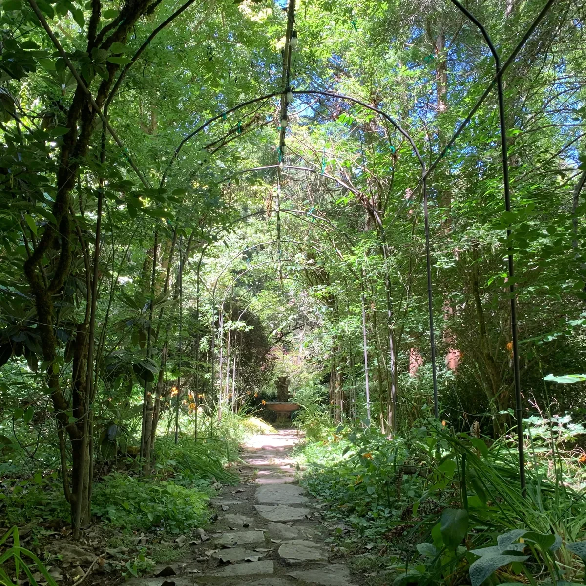Qigong & Forest Bathing at Botanica Gardens in Sebastopol