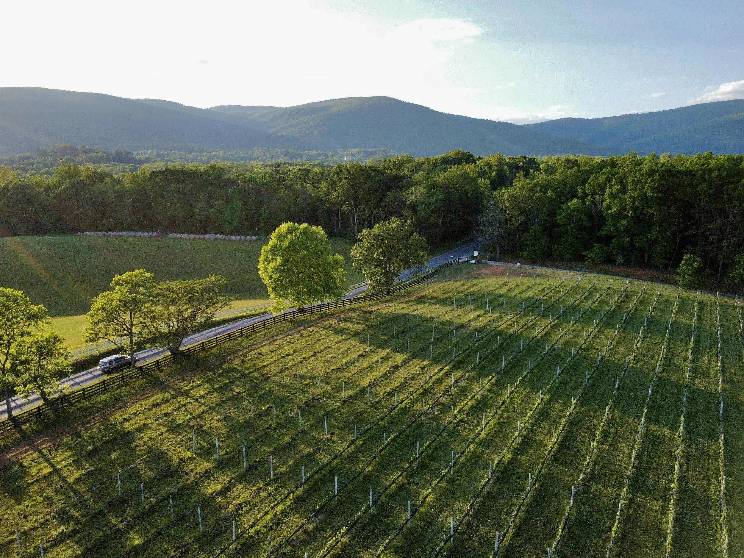 Greenwood, Virginia, Spring 2026