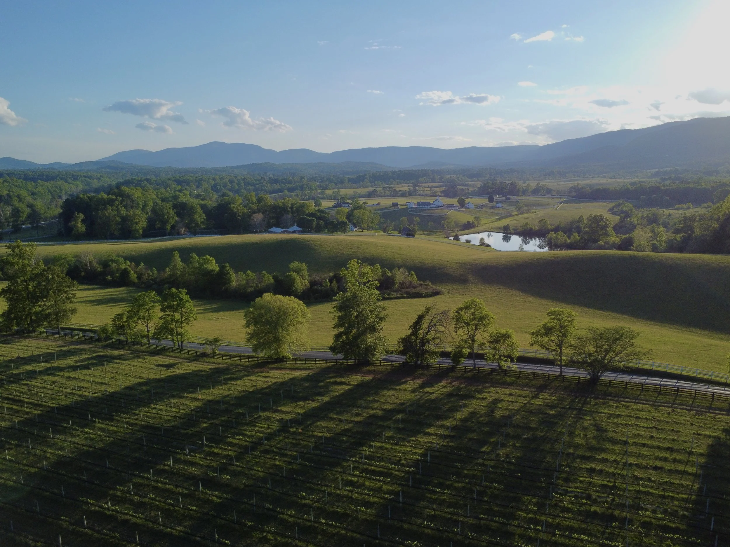 Greenwood, Virginia, Spring 2026