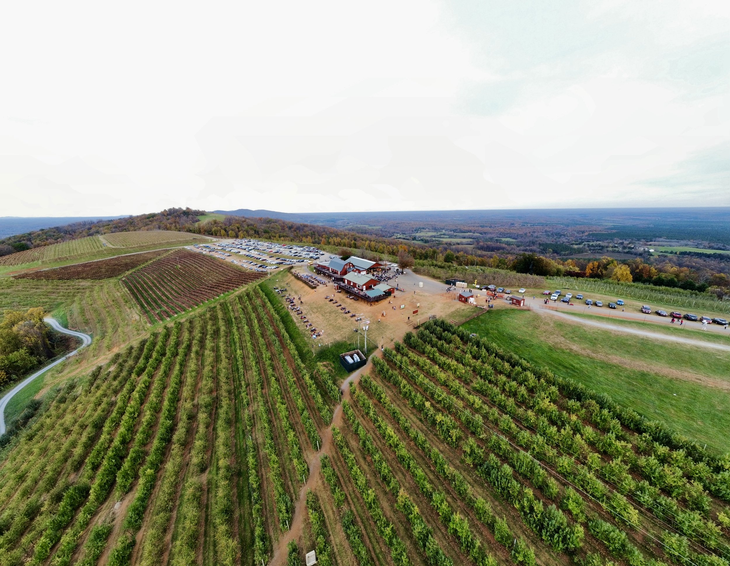 Carter Mountain Orchard, Virginia, Fall 2024