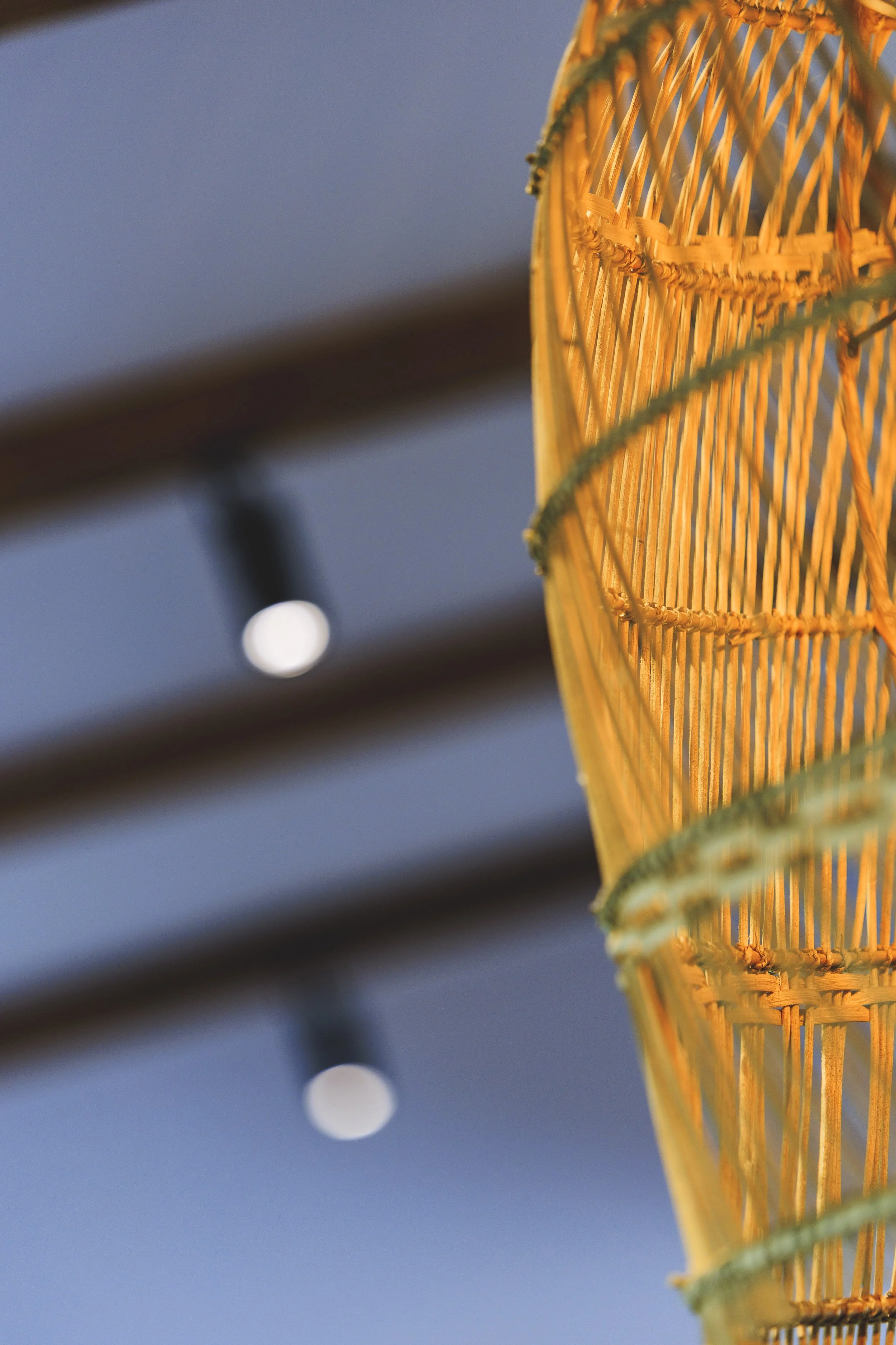 2025-06 - Noma - 279.jpg