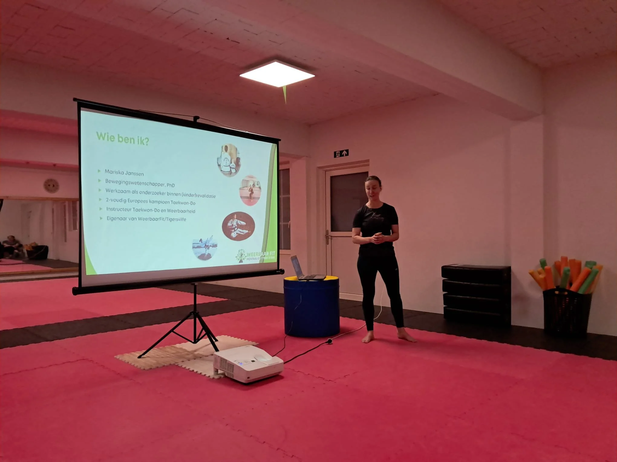 Workshop Weerbaarheid.jpg
