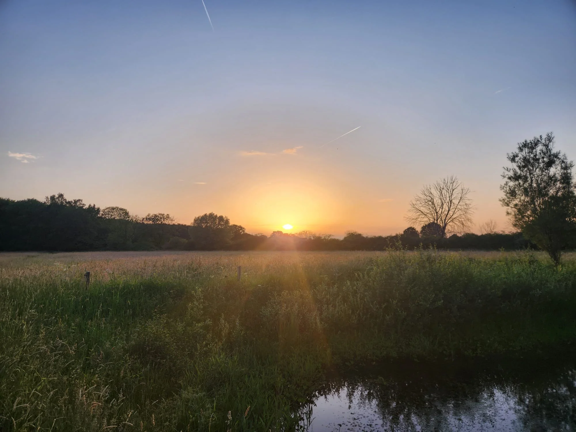 Kruidenwandeling (16).jpg