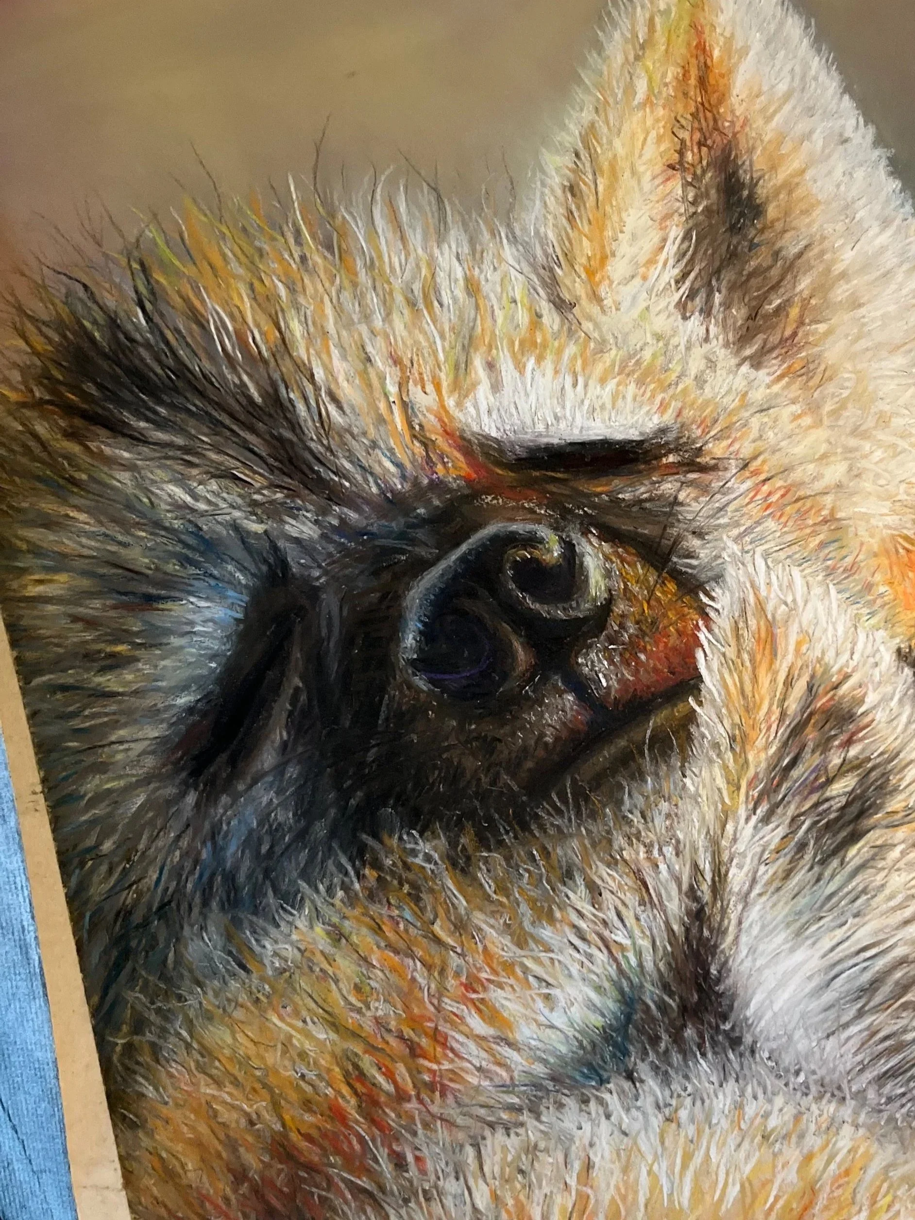 Close-up of a pastel drawing of two foxes snuggling with eyes closed, showcasing detailed fur textures and warm colors.