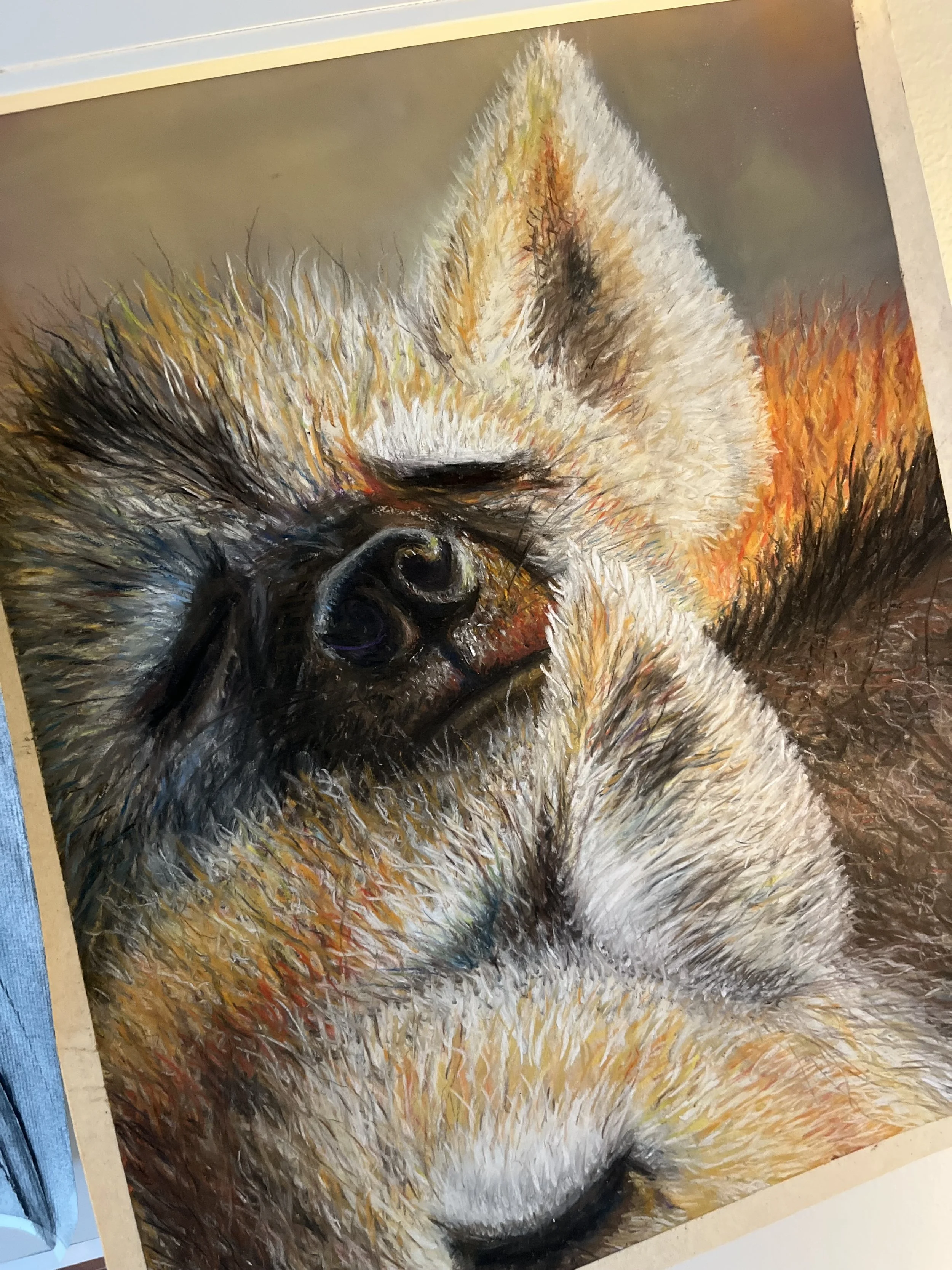 Close-up of a pastel drawing of two foxes snuggling with eyes closed, showcasing detailed fur textures and warm colors.