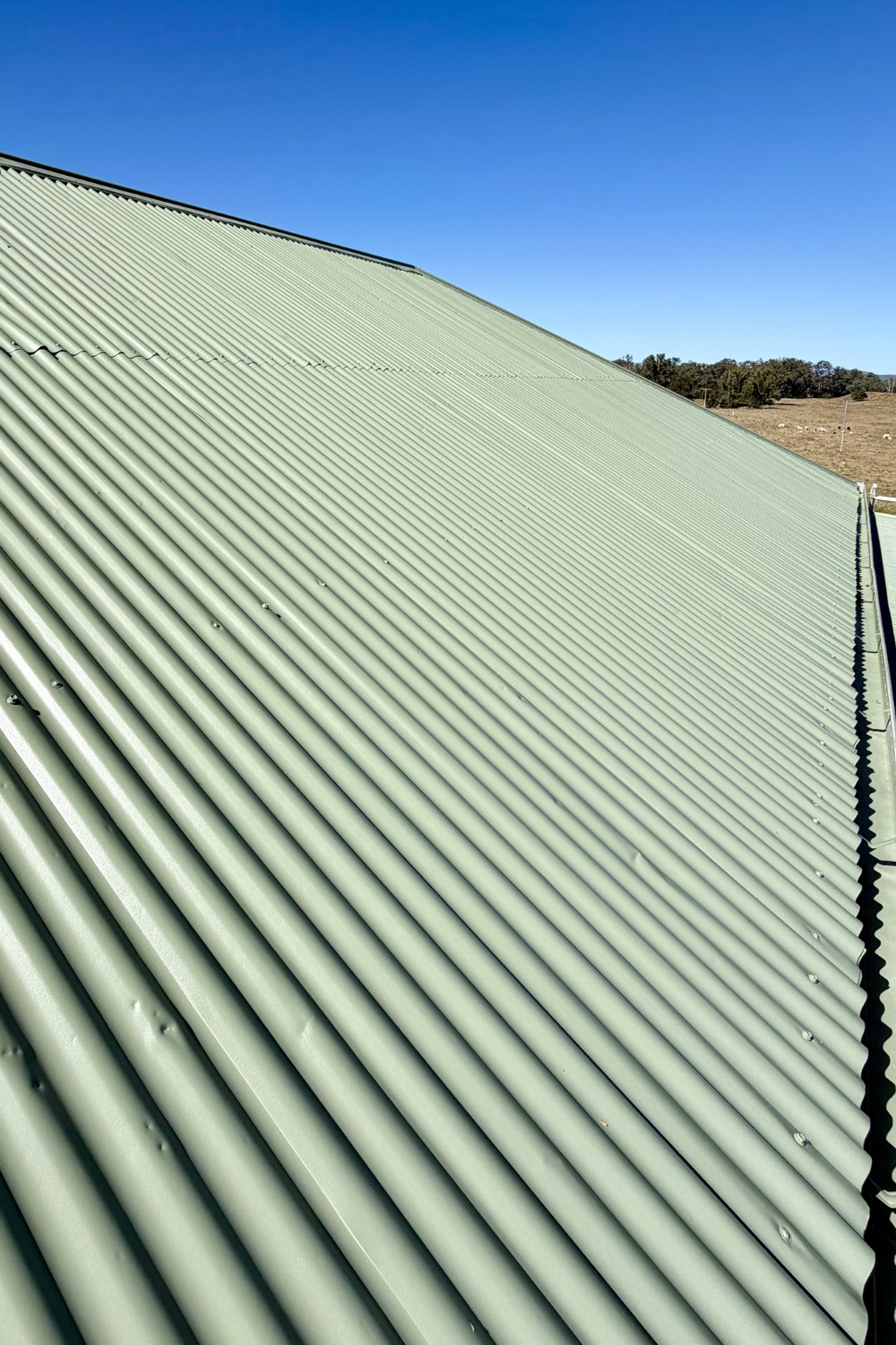 A green metal roof in Willows, Queensland which has just been freshly painted.