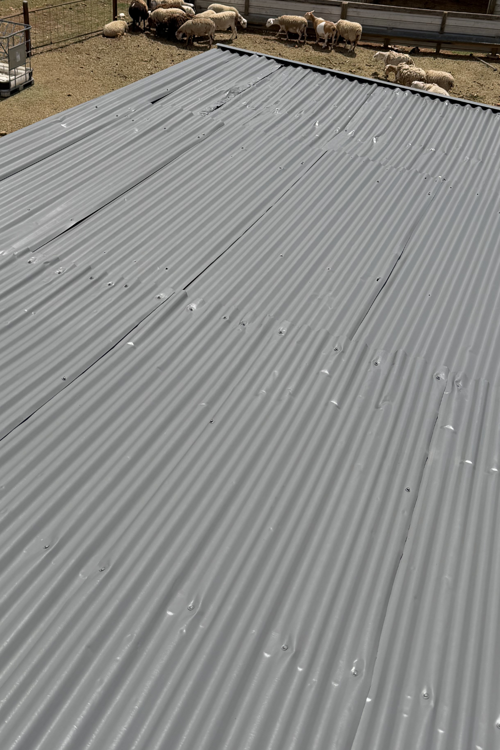A freshly painted metal roof in Prospect after painting silver.