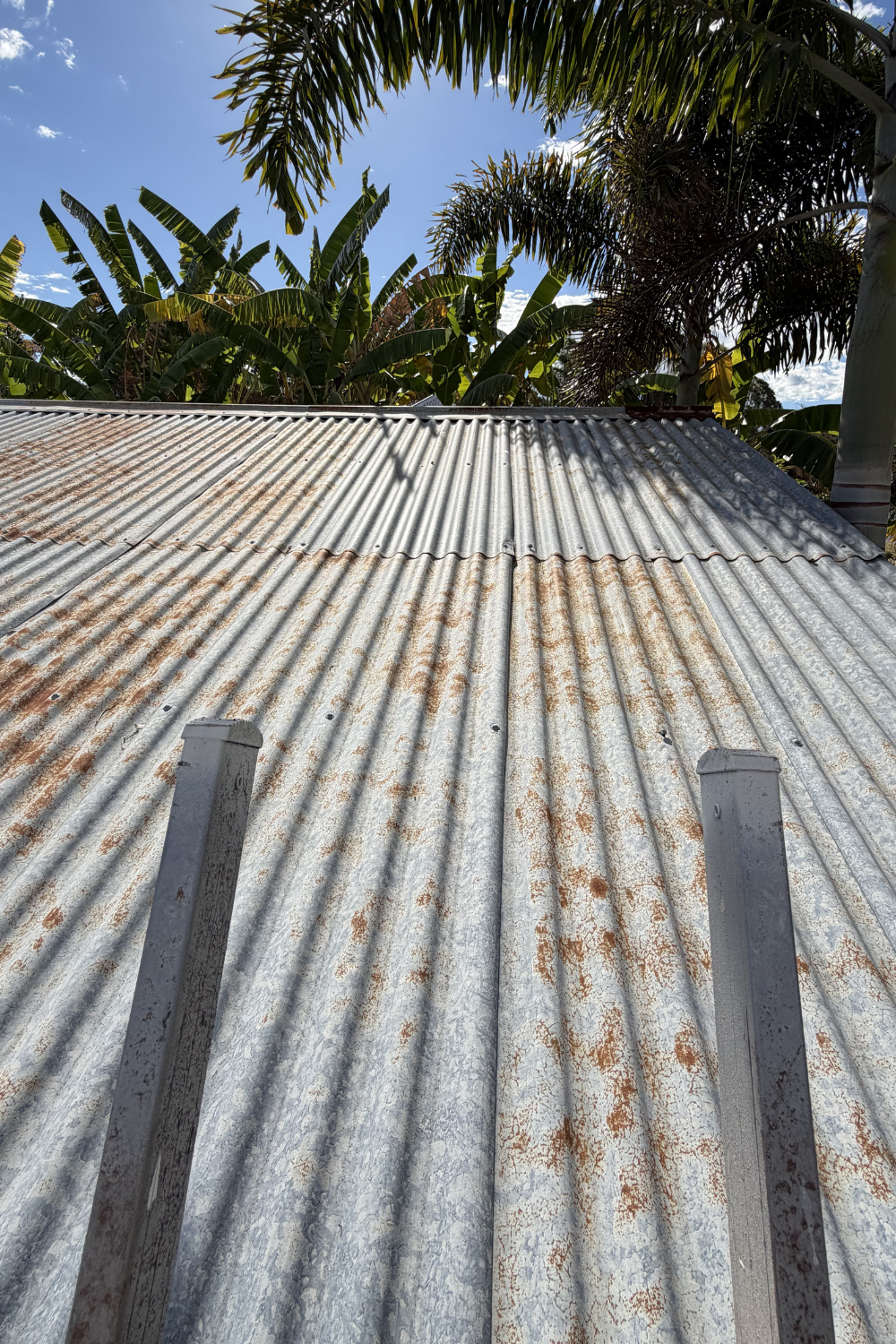 A rusty metal roof in Springsure prior to painting.