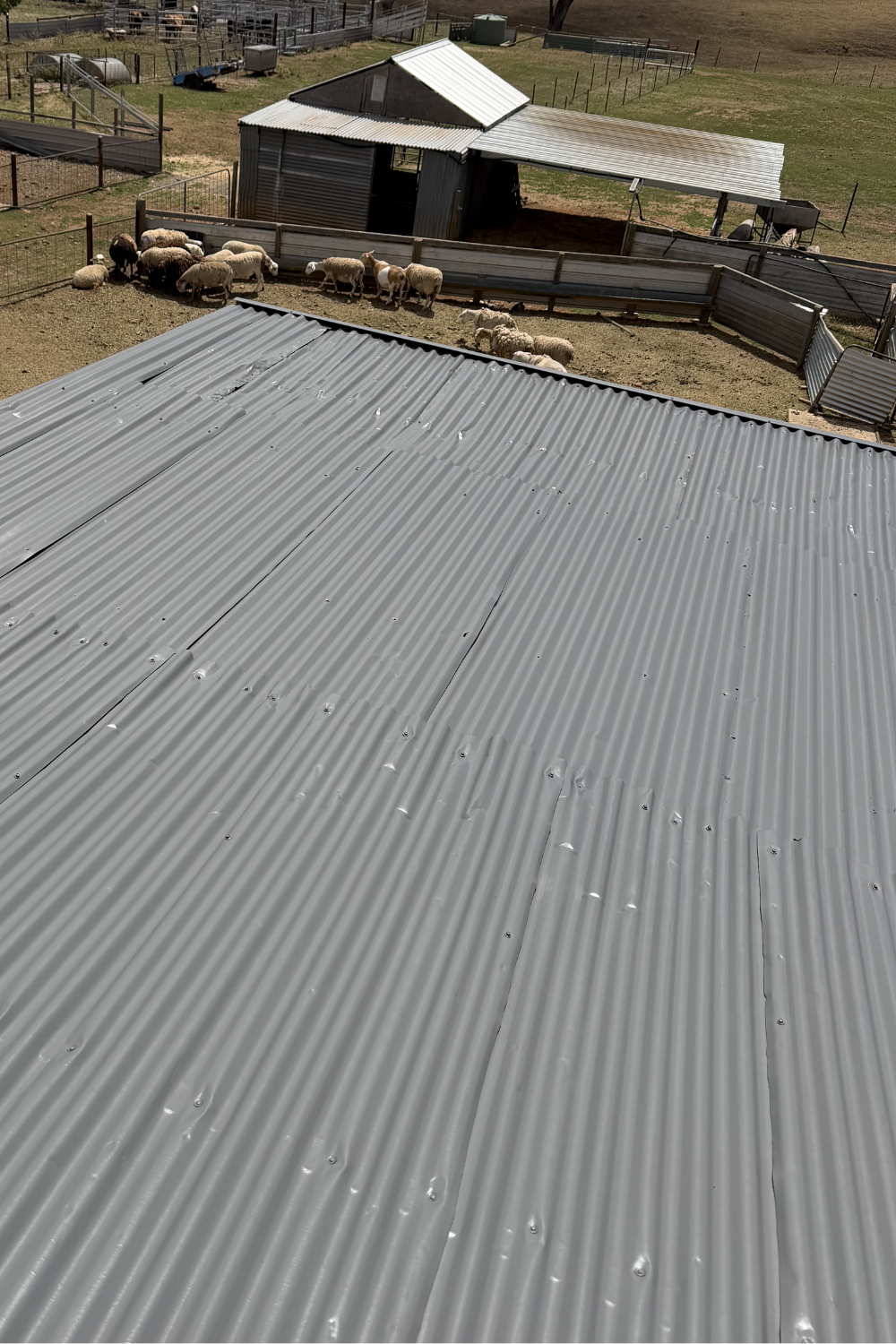 A freshly painted metal roof in Injune after painting grey.