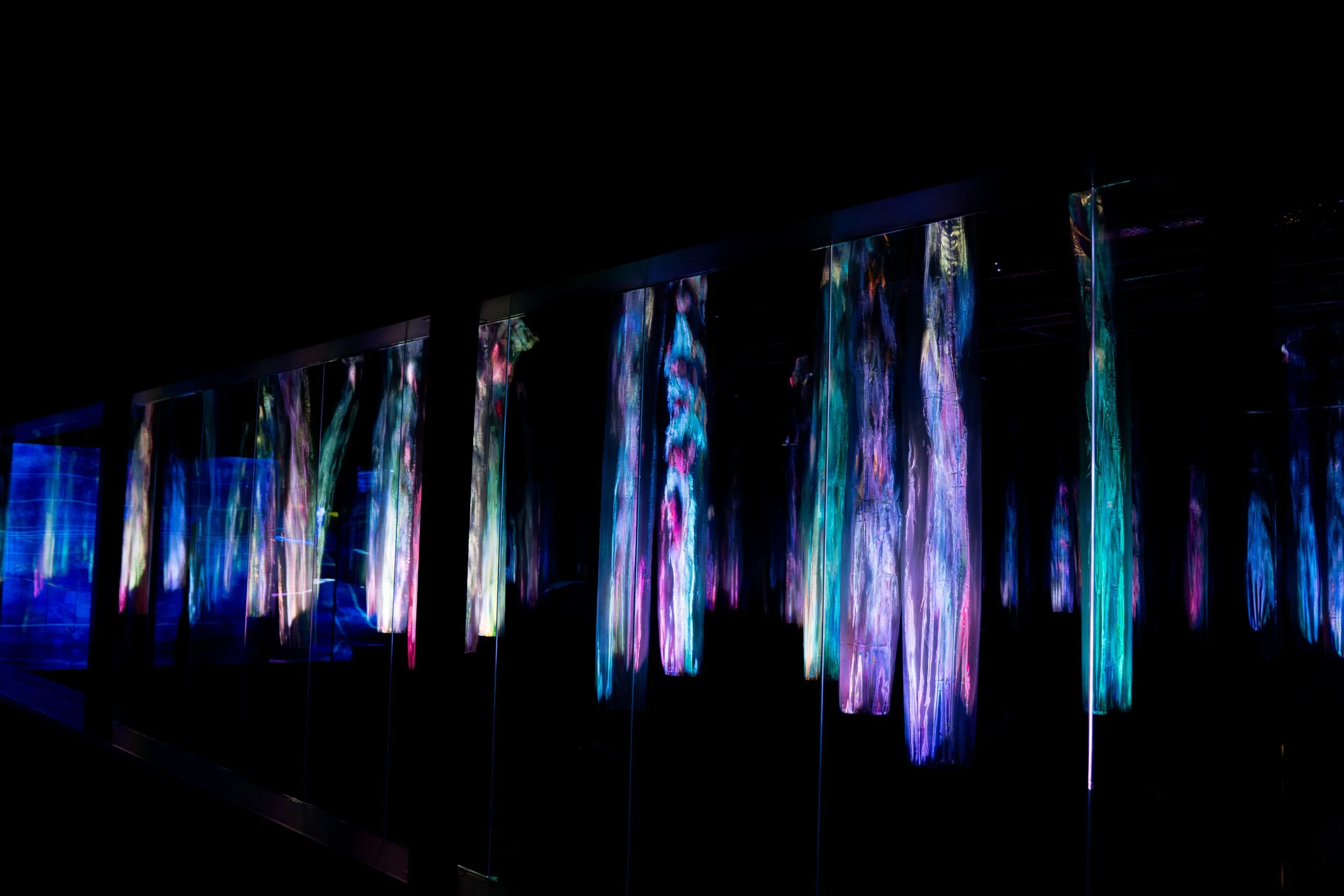 Forest of Flow and Light