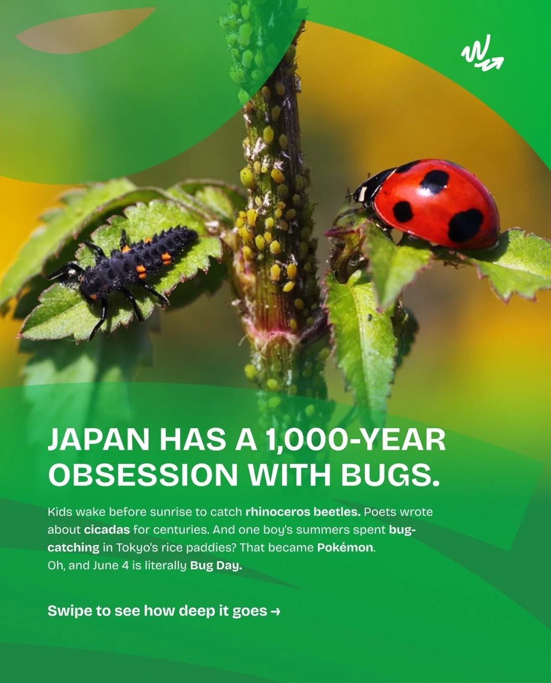 Today is Mushi no Hi (虫の日), Japan's official Bug Day. June 4, because 6/4 reads as mu + shi = mushi. Of course it does. From pet beetles to Pok&eacute;mon to centuries of poetry, Japan's obsession with bugs runs quiet and deep.

Which slide got you? 