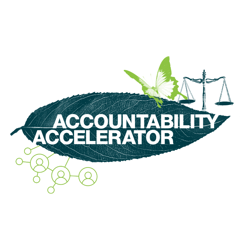 Accountability Accelerator Logo.png