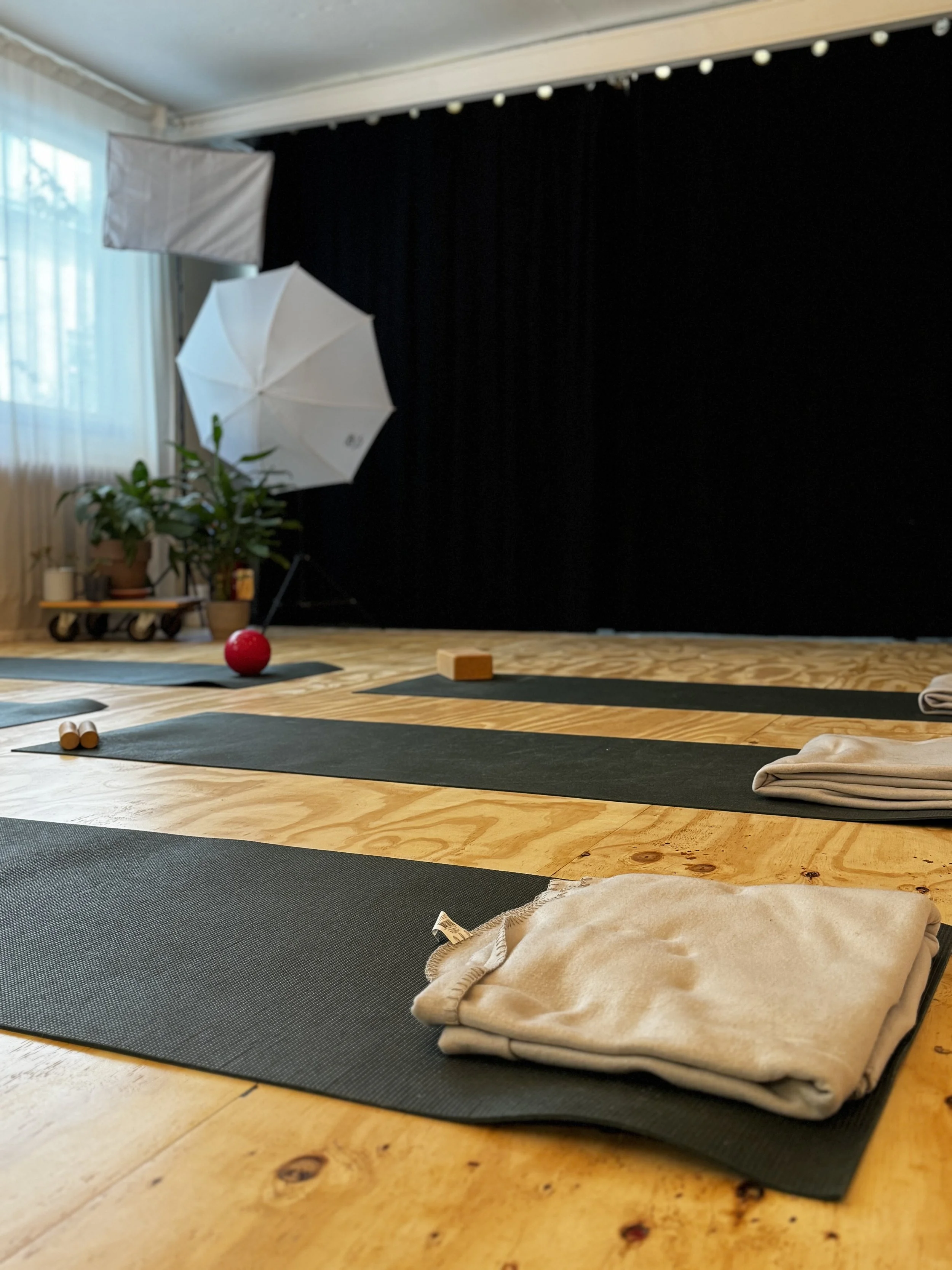 Yoga-Matten, Handtücher, Bolster und Yoga-Equipment in einem Raum für eine Yoga- oder Meditationssession, mit Studio-Beleuchtung und Pflanzen im Hintergrund.
