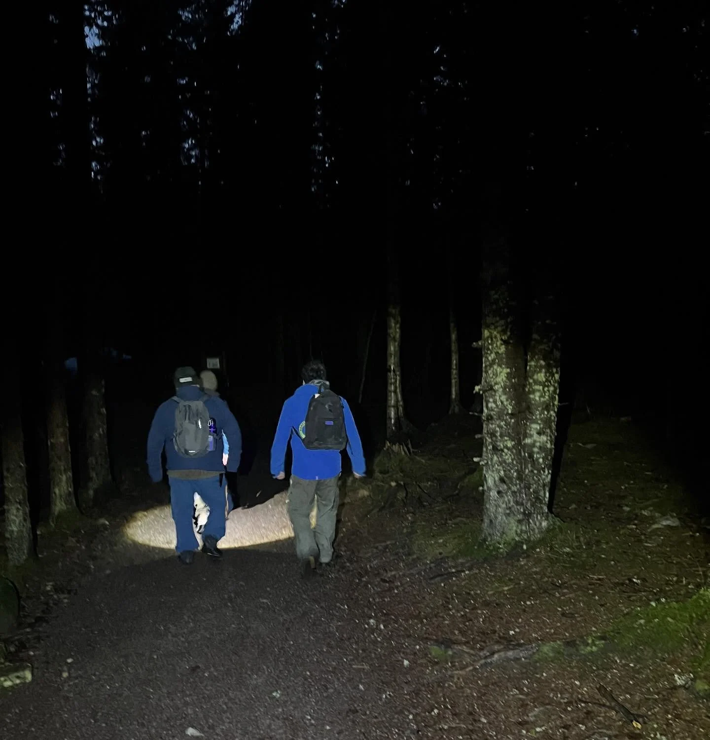 I g&aring;r var vi en gjeng p&aring; &aring;rets siste fritidsprogram 🌲 Vi gikk til dagsturhytta p&aring; &Oslash;verby, og koste oss meg b&aring;l og p&oslash;lsegrilling. Gikk litt hardt for seg for noen av p&oslash;lsegrillerne (se siste bilde) ?
