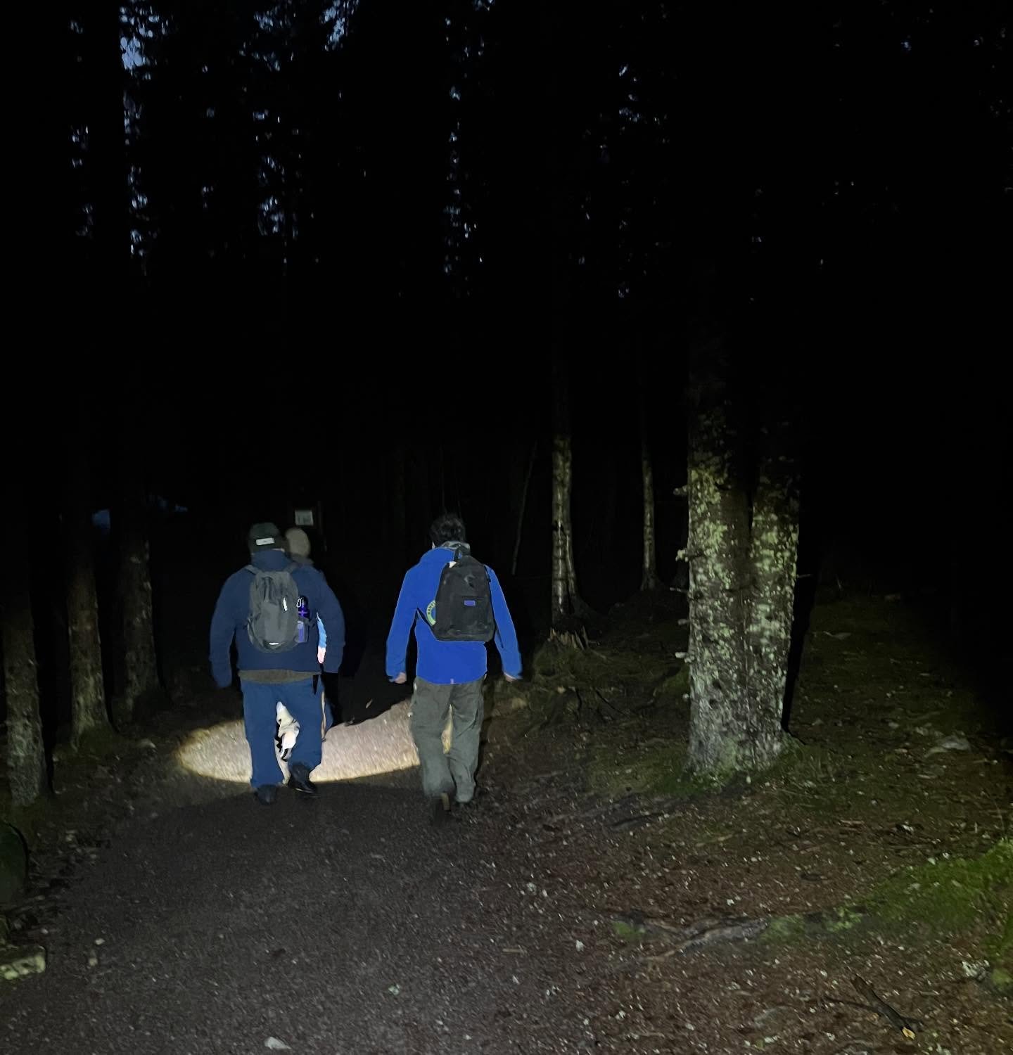 I g&aring;r var vi en gjeng p&aring; &aring;rets siste fritidsprogram 🌲 Vi gikk til dagsturhytta p&aring; &Oslash;verby, og koste oss meg b&aring;l og p&oslash;lsegrilling. Gikk litt hardt for seg for noen av p&oslash;lsegrillerne (se siste bilde) ?