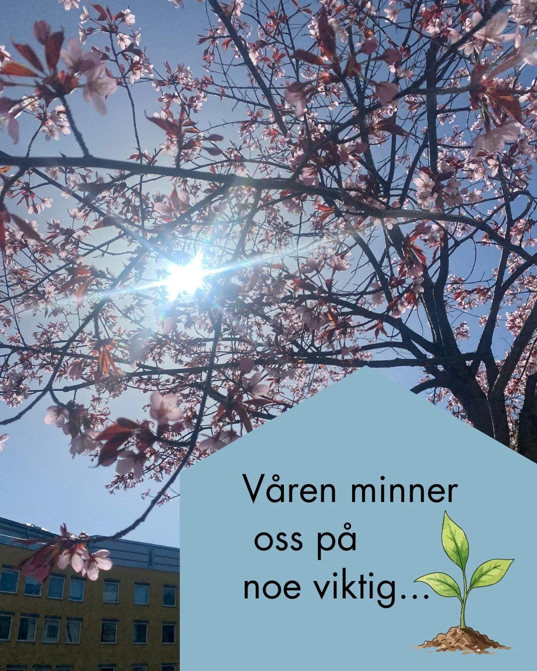 🌱Etter en lang vinter begynner naturen sakte og v&aring;kne til live igjen. Sm&aring; spirer bryter gjennom jorda, lyset kommer tilbake, og alt som har ligget i dvale f&aring;r en ny sjanse til &aring; vokse. 🌱

Slik kan det ogs&aring; v&aelig;re f