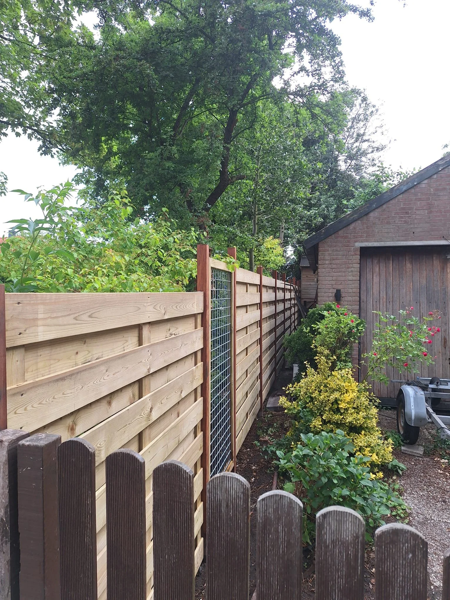 A small backyard with a new wooden fence, various plants and shrubs, a brick outbuilding with a wooden door, and tall trees in the background.