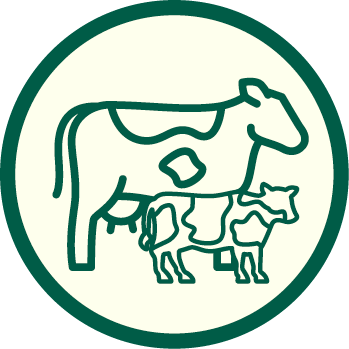 Outline of a cow and calf inside a green circle