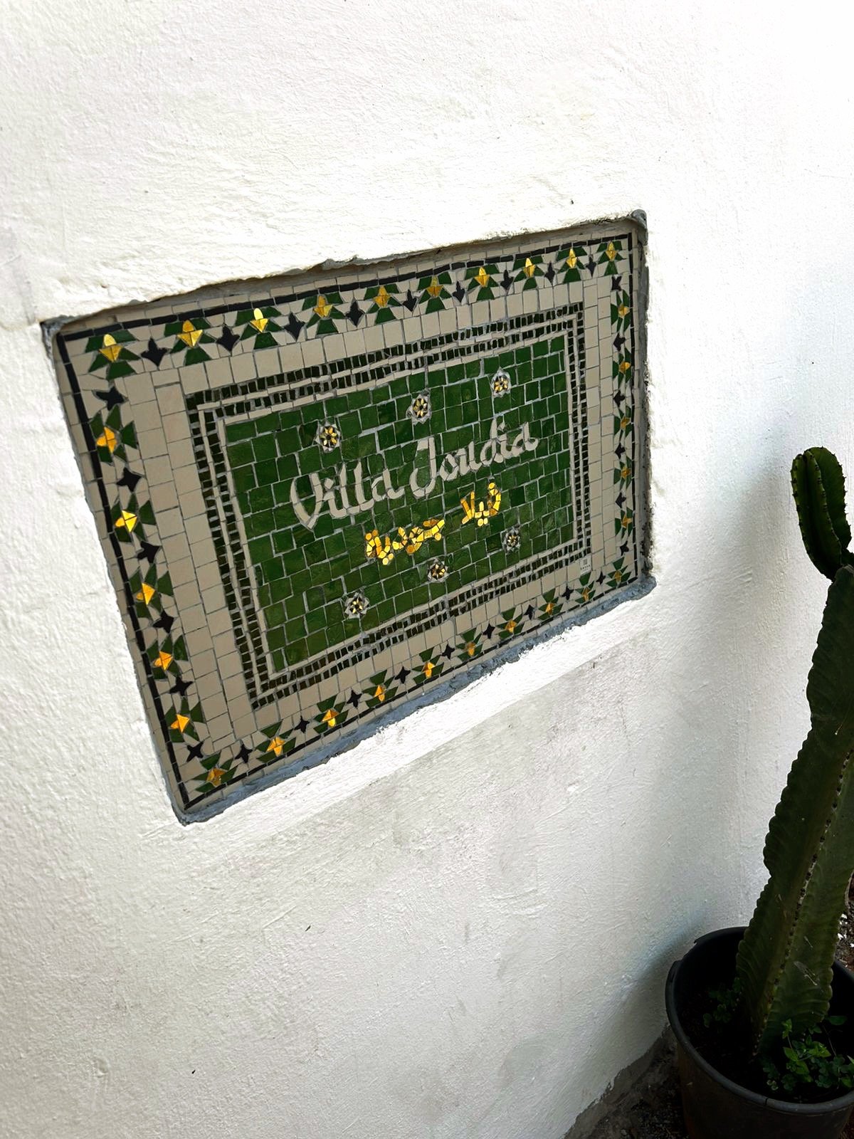 ff898693-f138-426b-95c9-c2afa00f3bb2 Copy.JPG