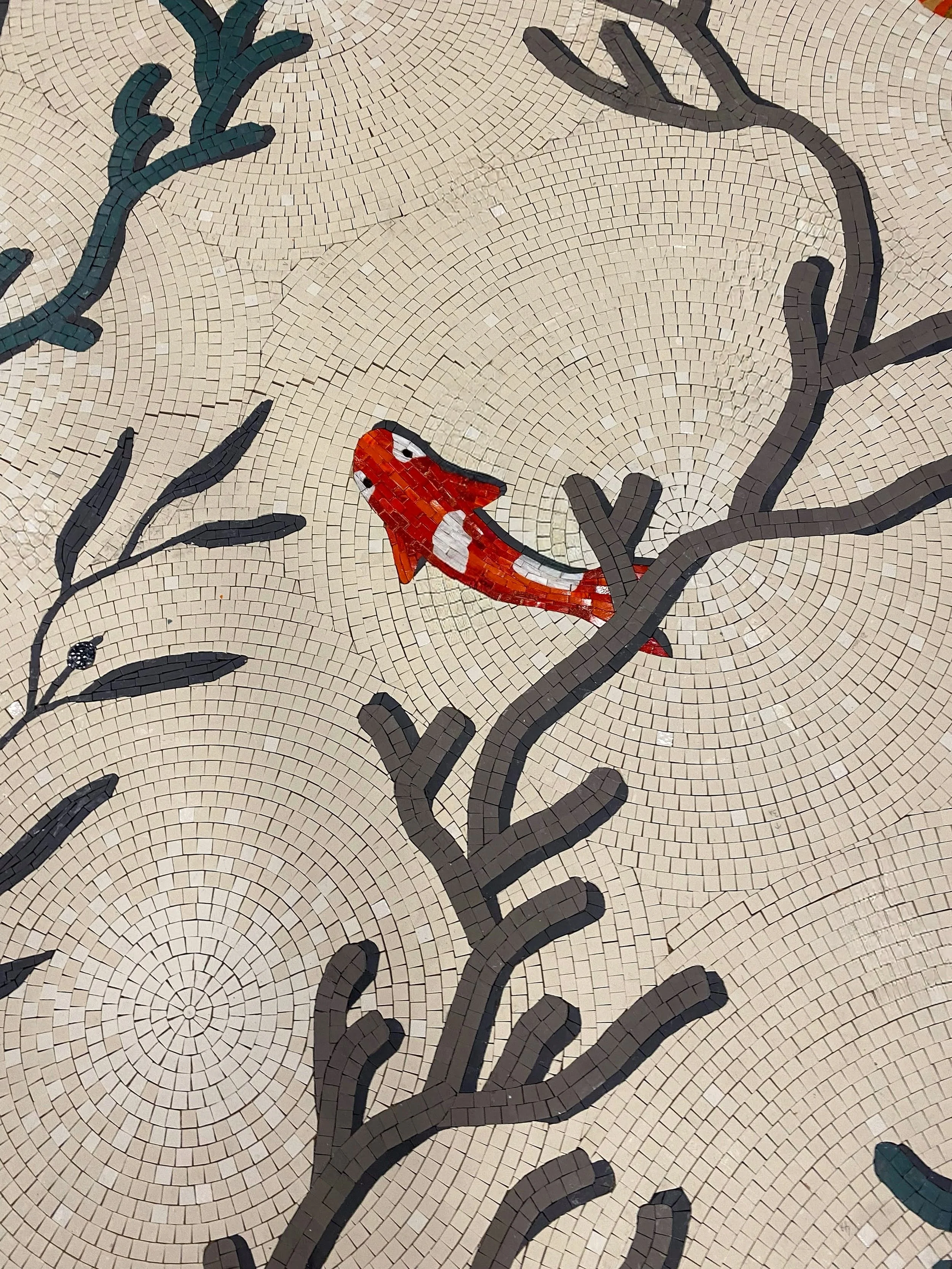 IMG_0138 Copy Copy.JPG