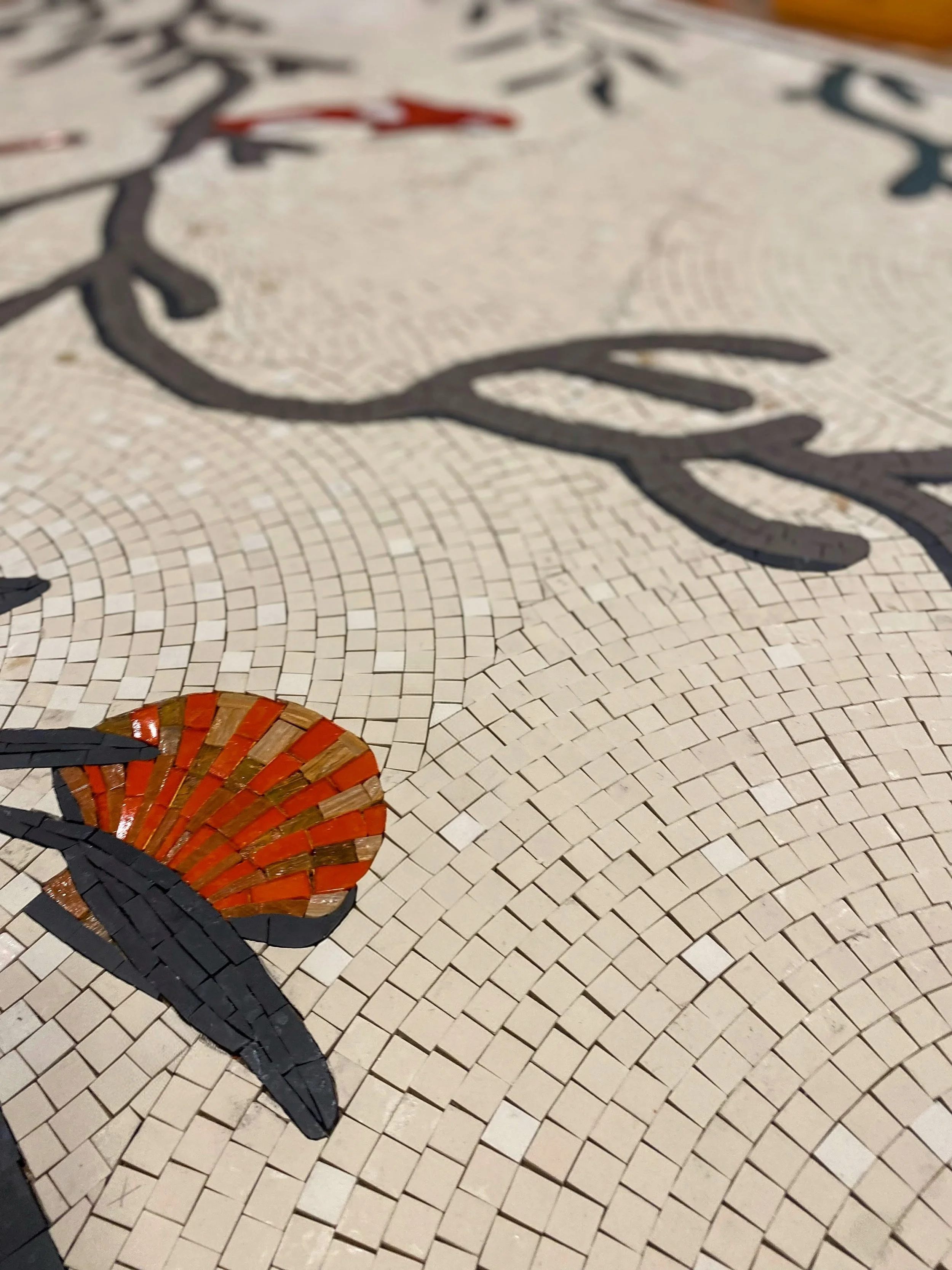 IMG_0152 Copy Copy.JPG