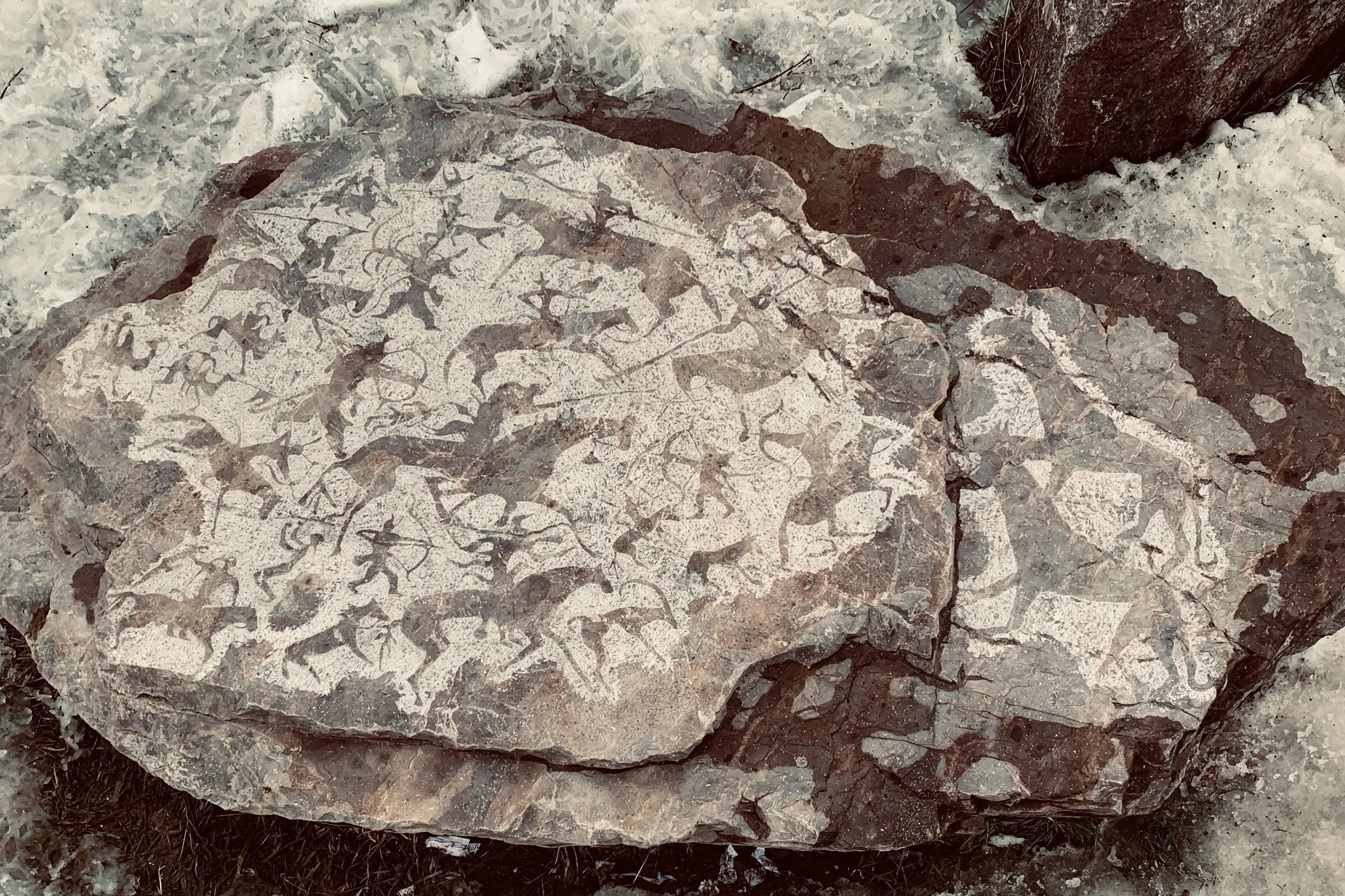 Park of Petroglyphs "Arcalan" 2024 / Botanical garden in Almaty