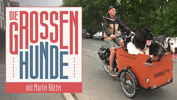 Die großen Hunde - Mit Martin Rütter - RTL