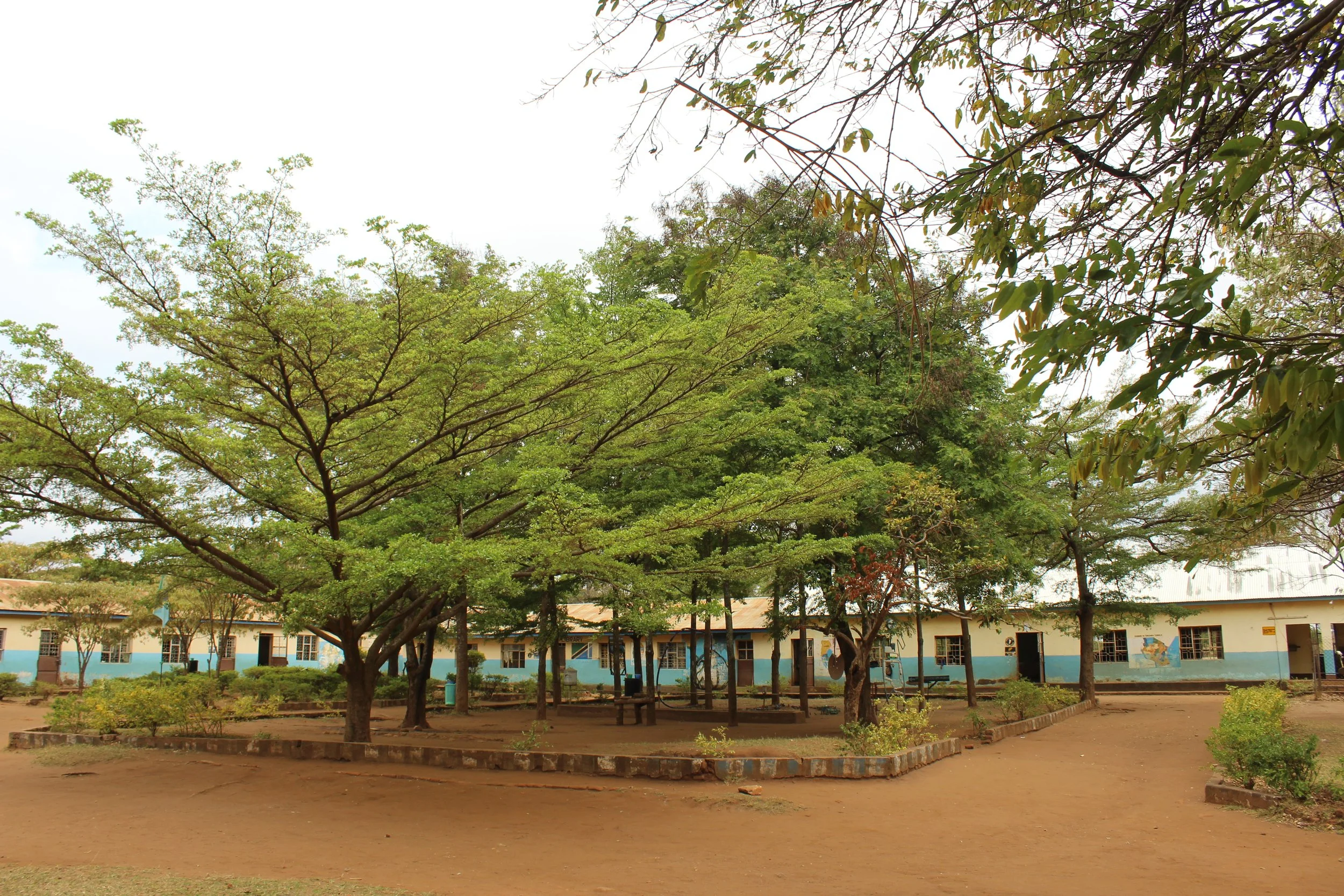 A visiting teacher's perspective