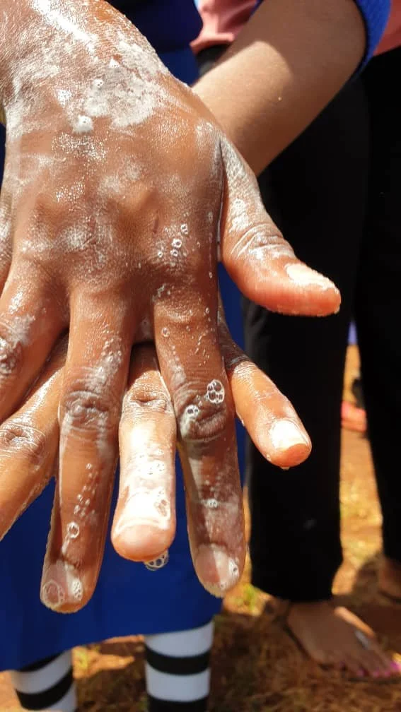 Mikono Salama Project Final Report