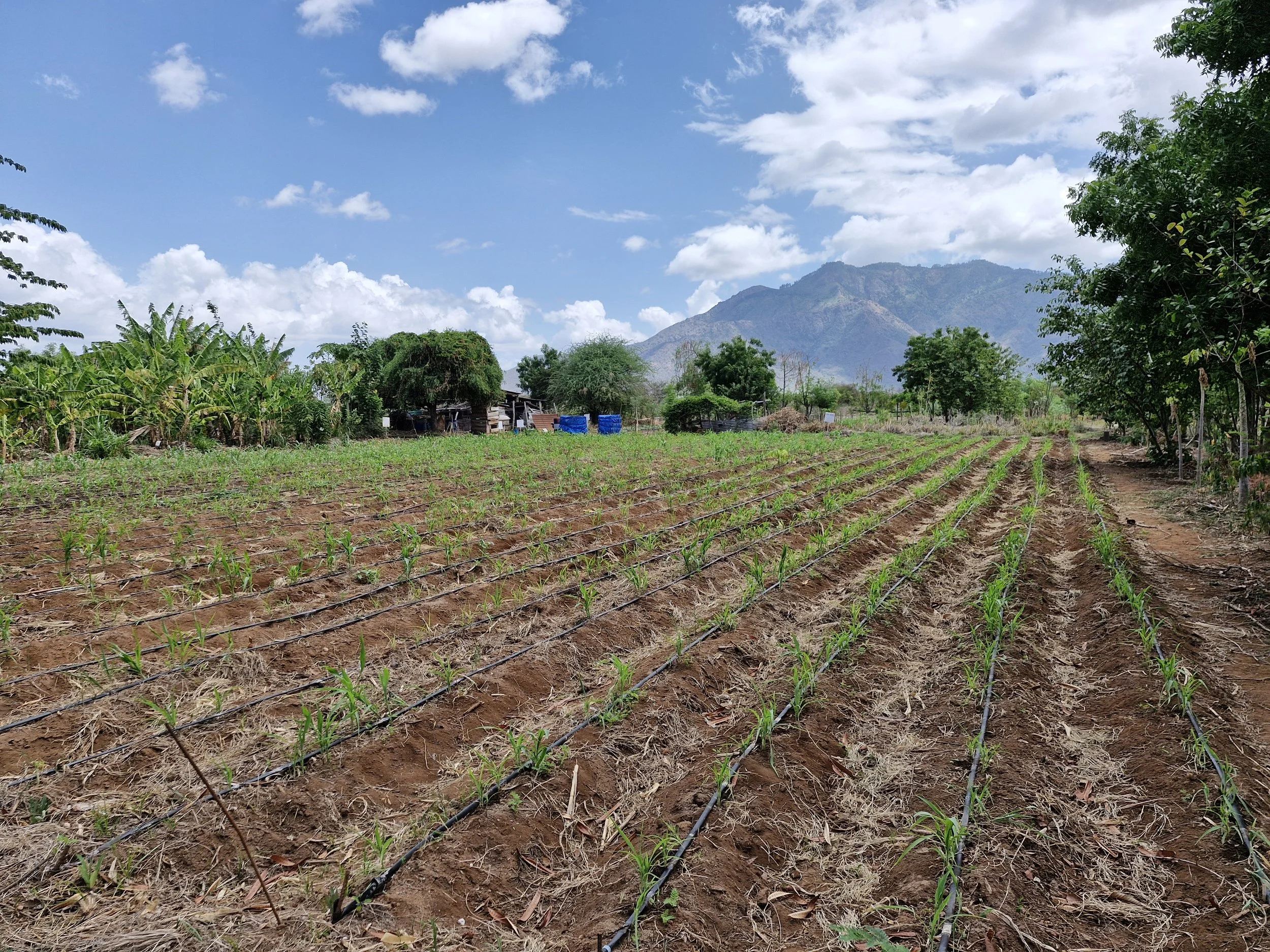 Farming For Regeneration - Update