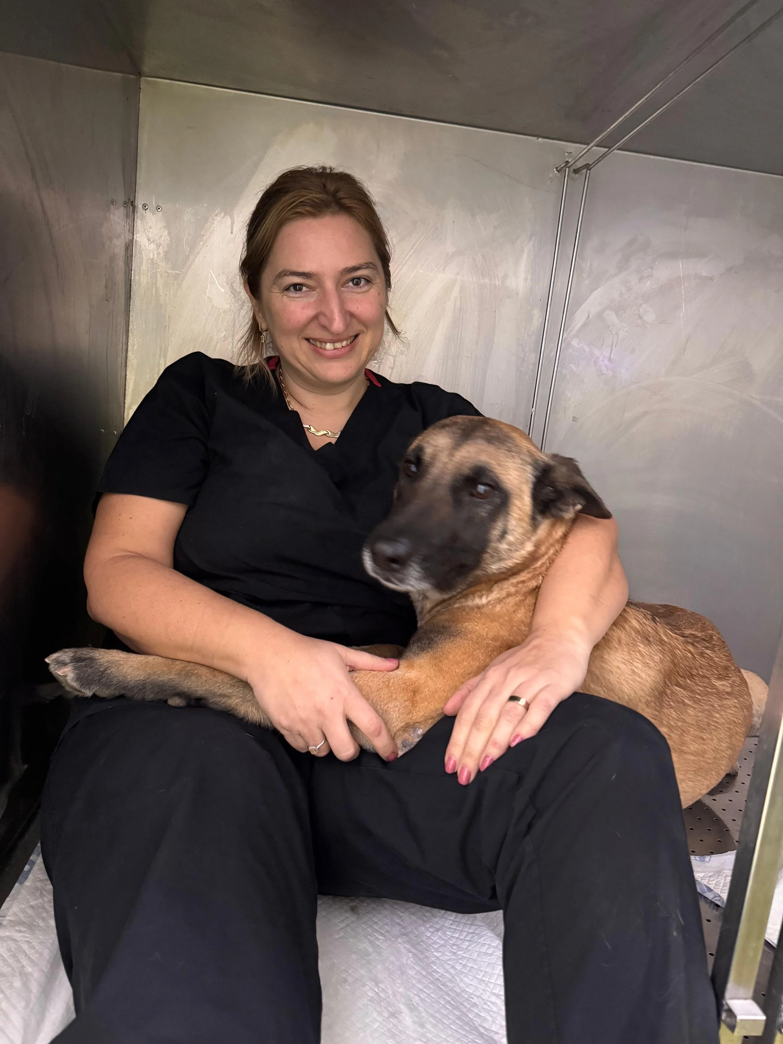 Operație veterinară programată? Iată cum îți pregătești câinele sau pisica pentru internare