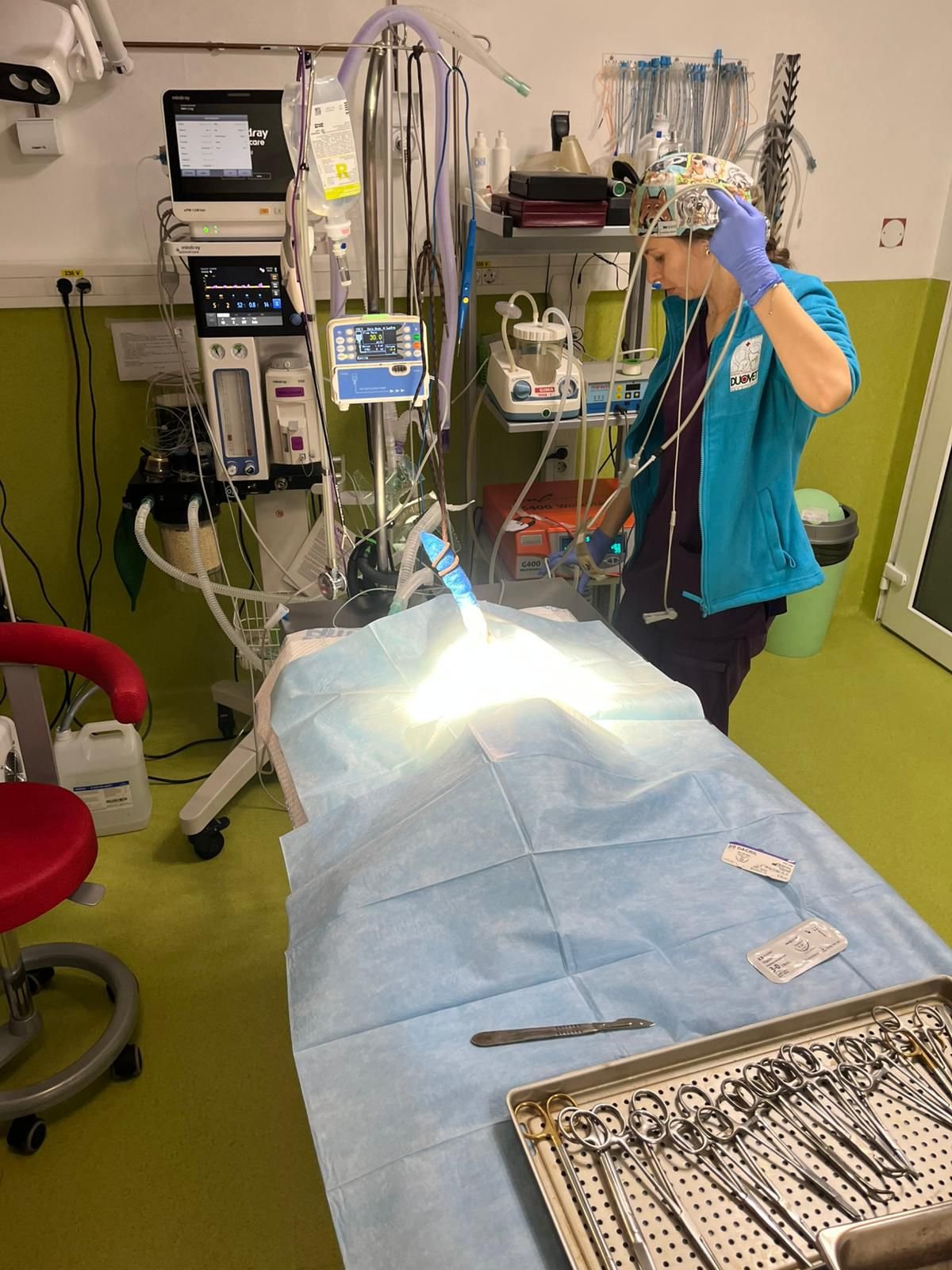 Importanța diagnosticării timpurii și a chirurgiei oncologice la animale