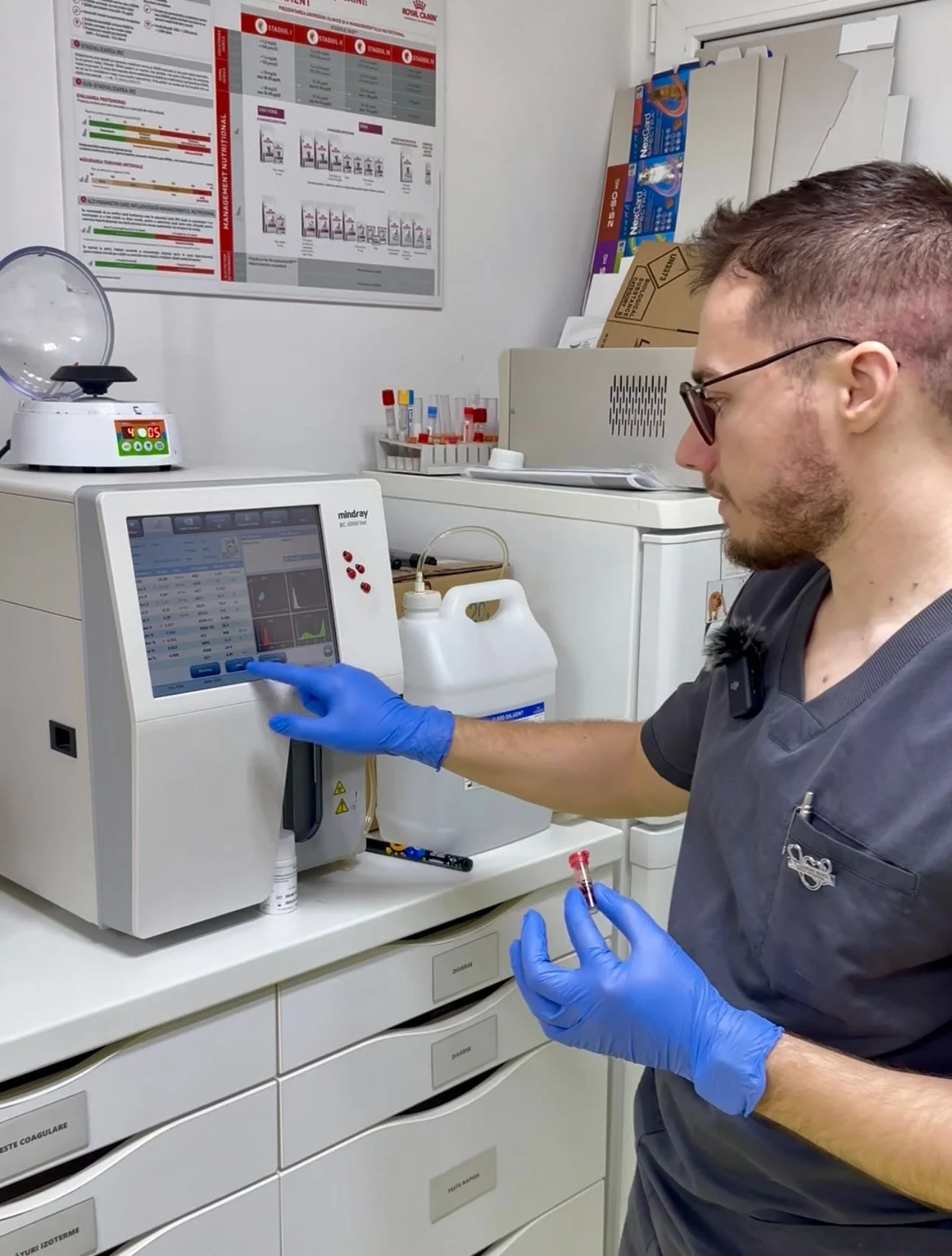 Rolul analizelor de sânge și urină în depistarea precoce a bolilor renale la câini și pisici