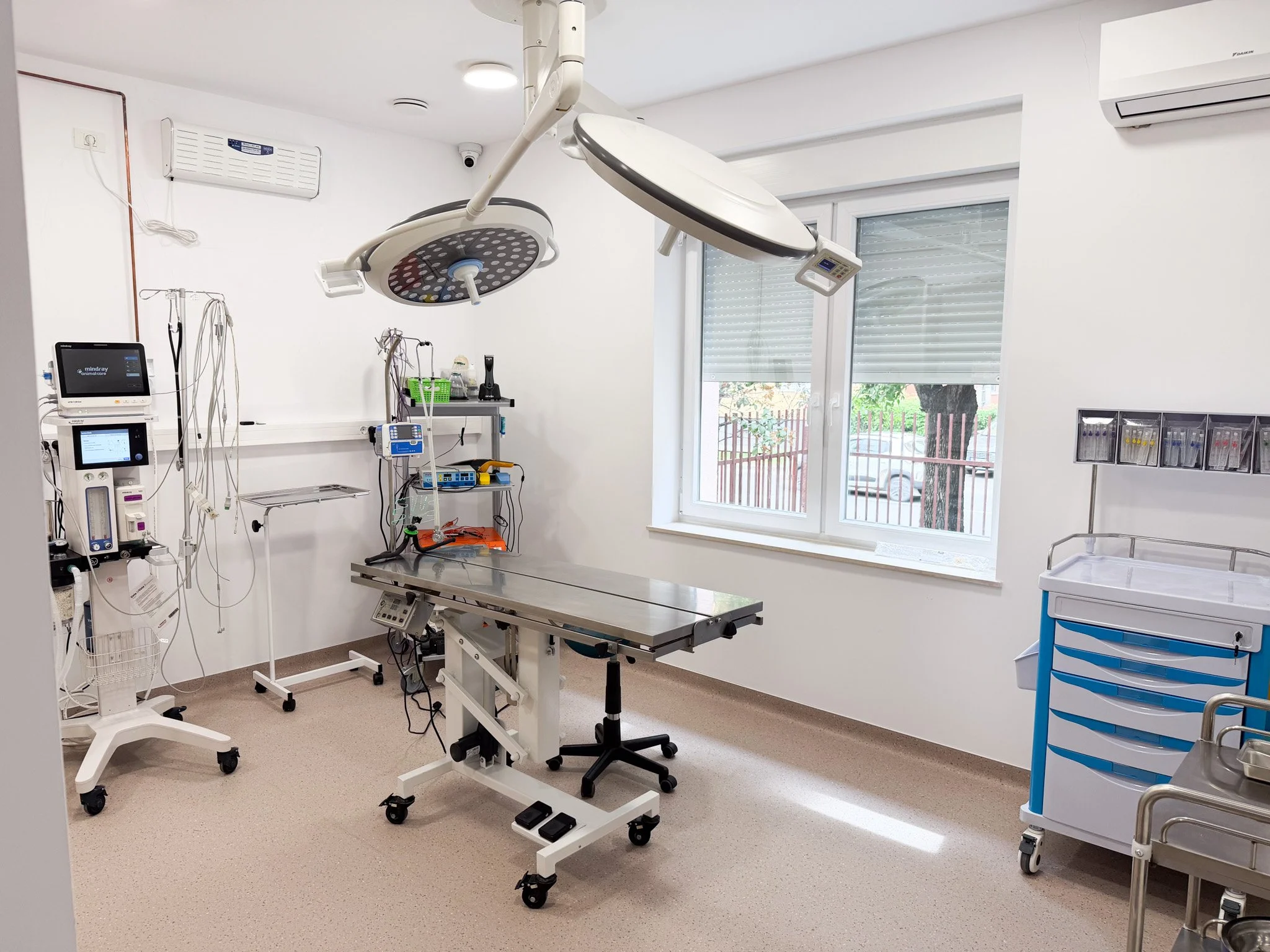 clinica veterinara timisoara
