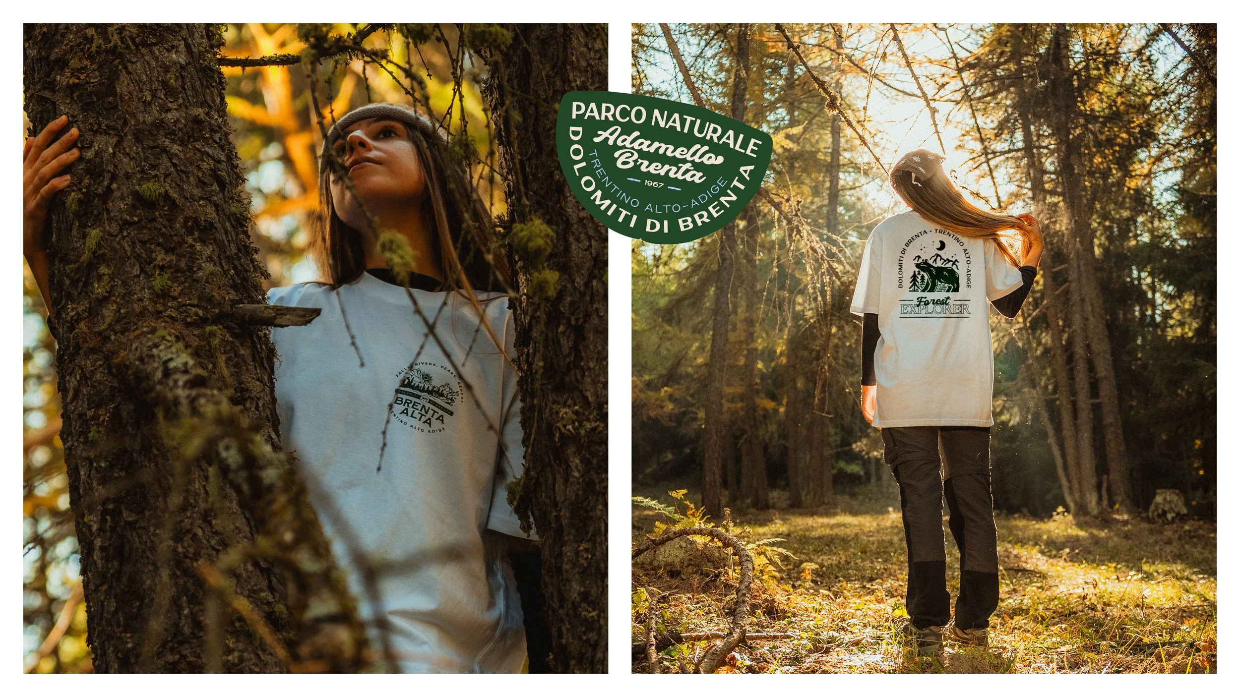 PNAB-case_02_1920 x 1080.jpg