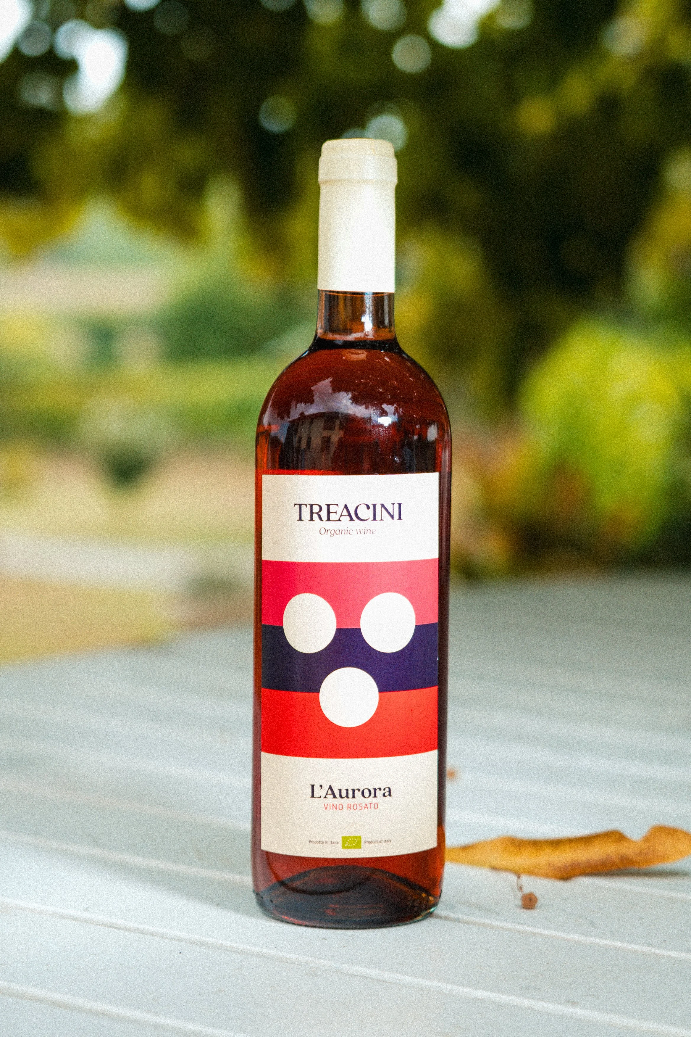 Vendemmia-TREACINI-14.jpg