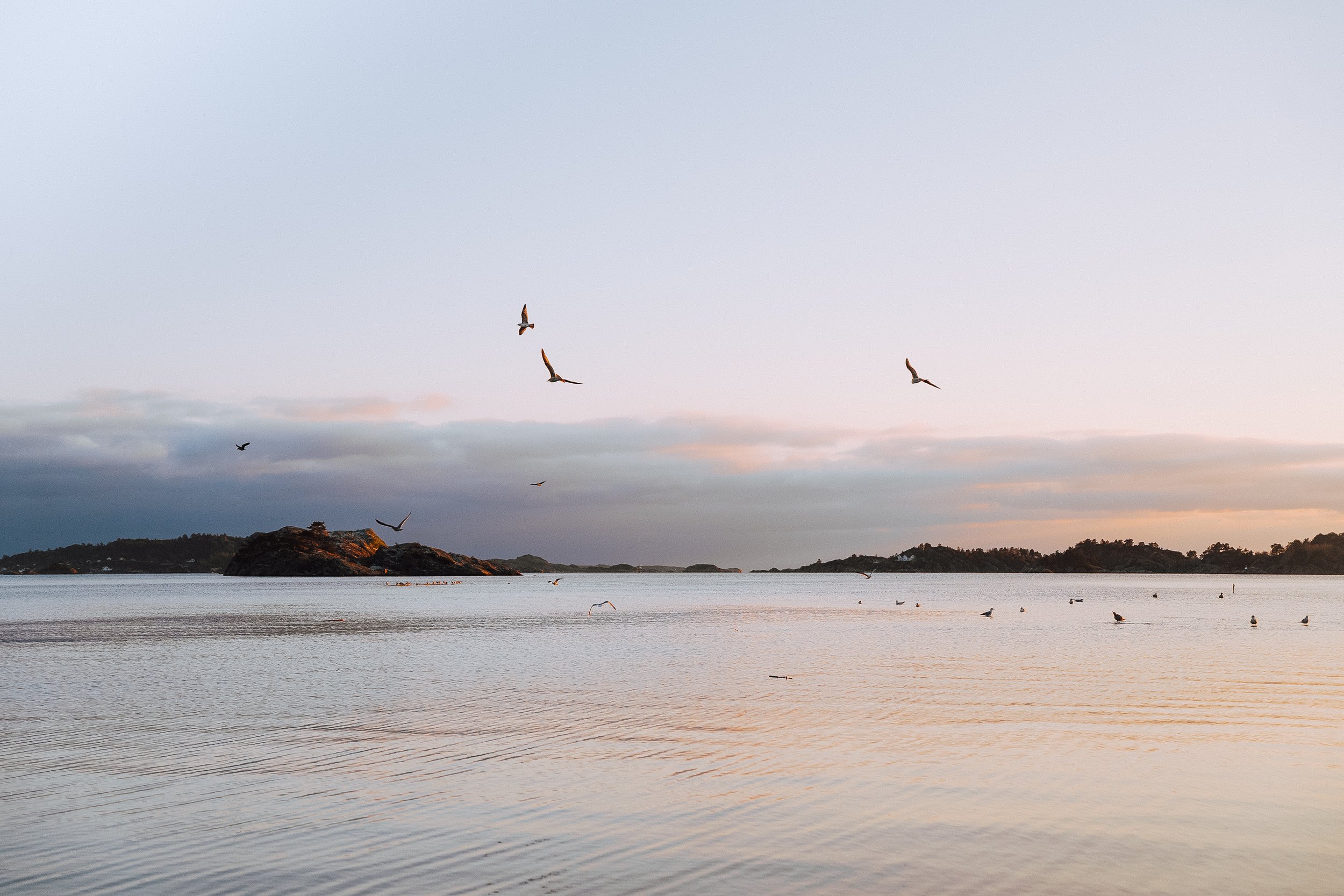 Seascape at sunset with flying birds and distant islands