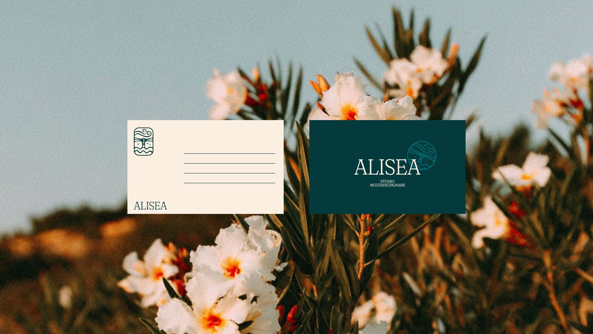 Alisea-case-sito3.jpg