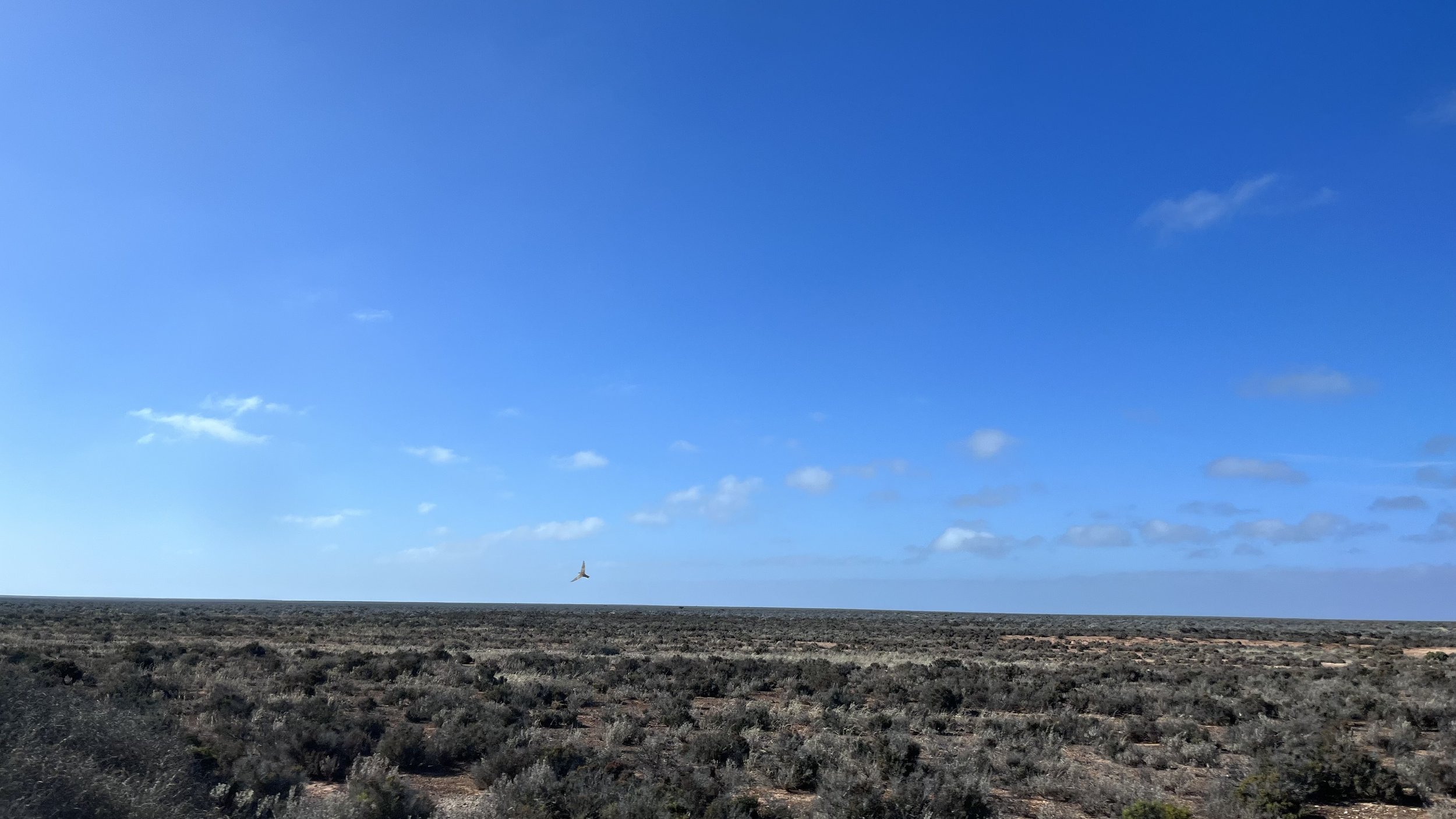 IMG_1092.jpeg