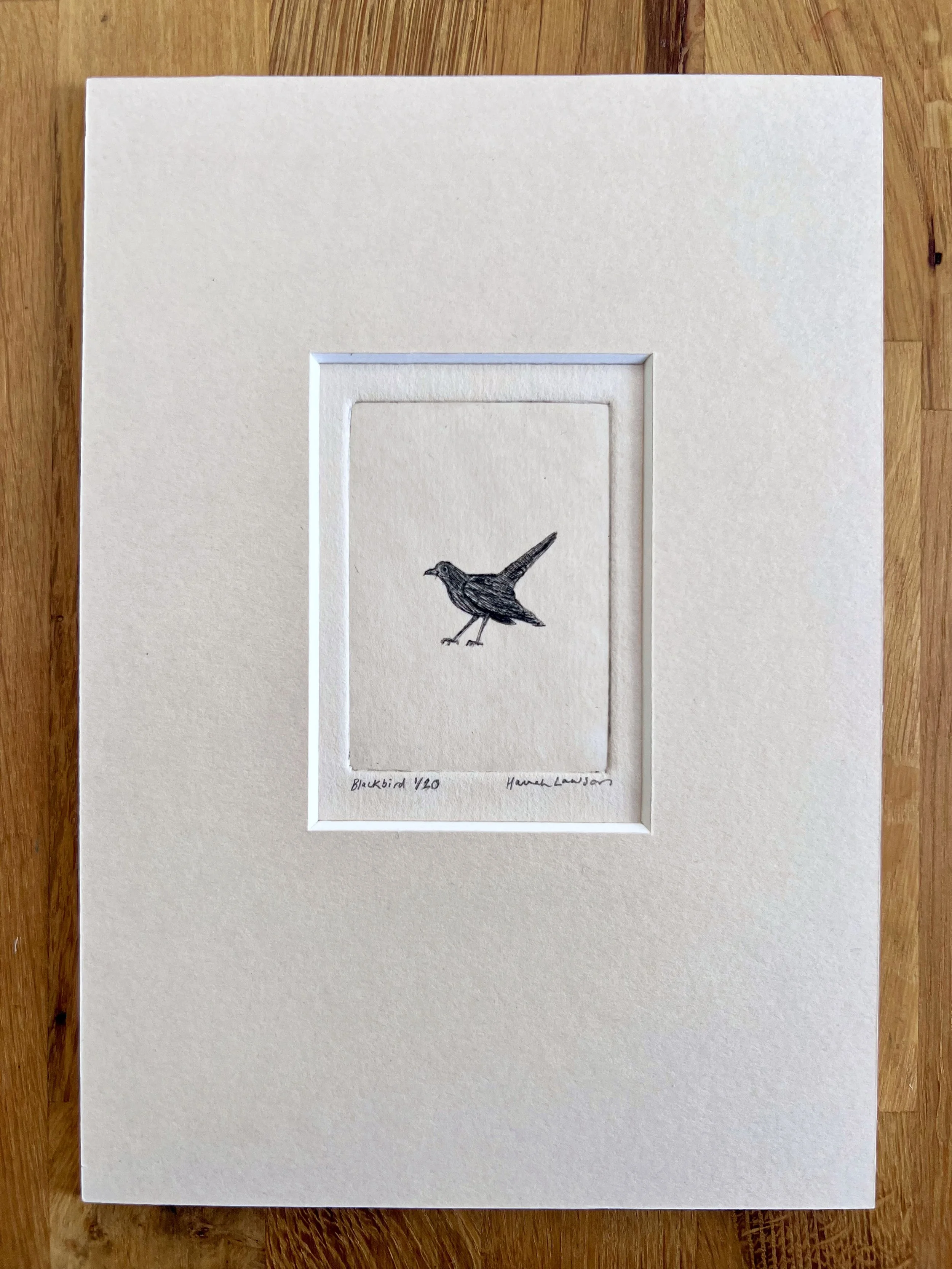 Blackbird drypoint print
