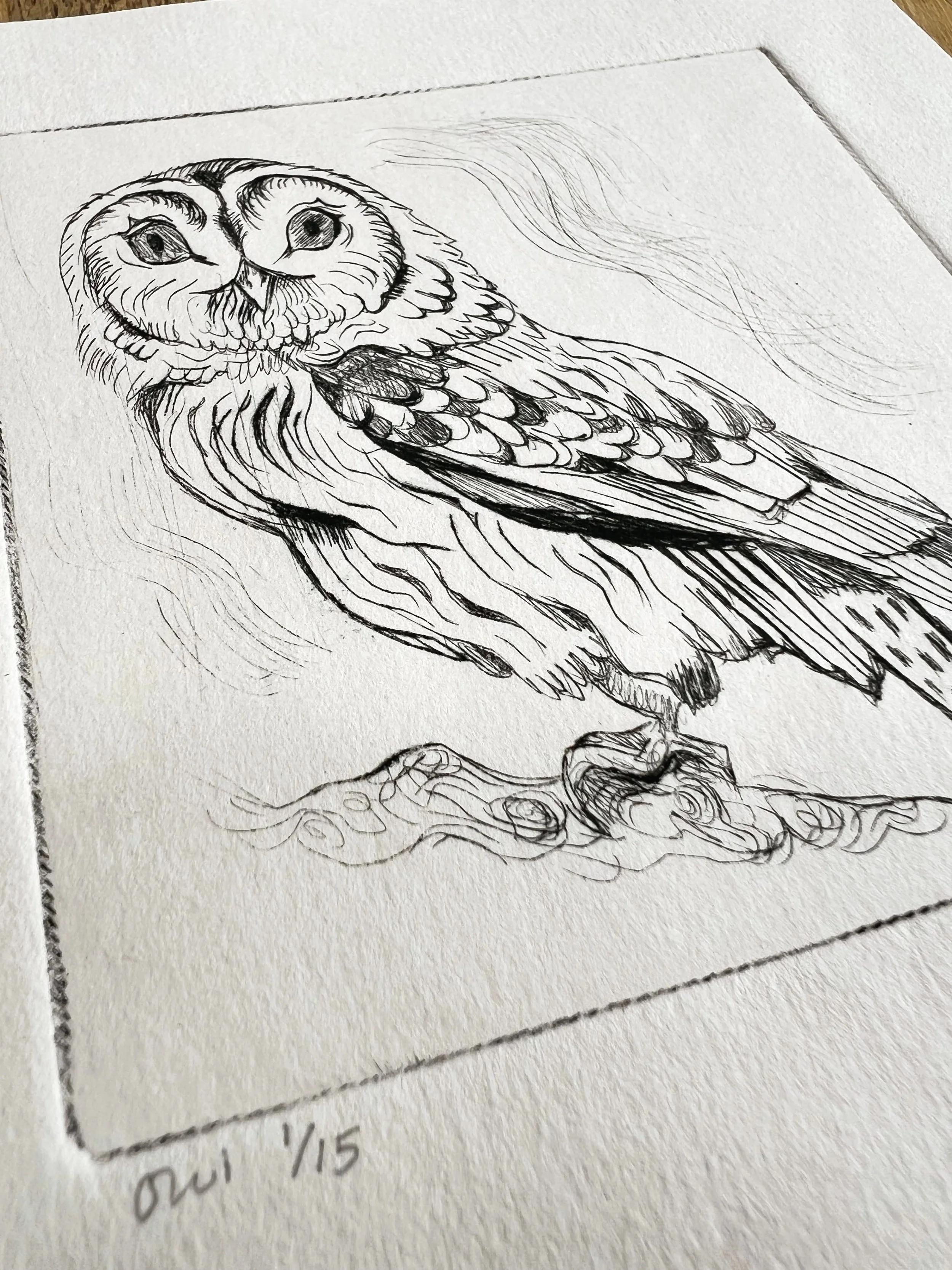 owl3.jpg