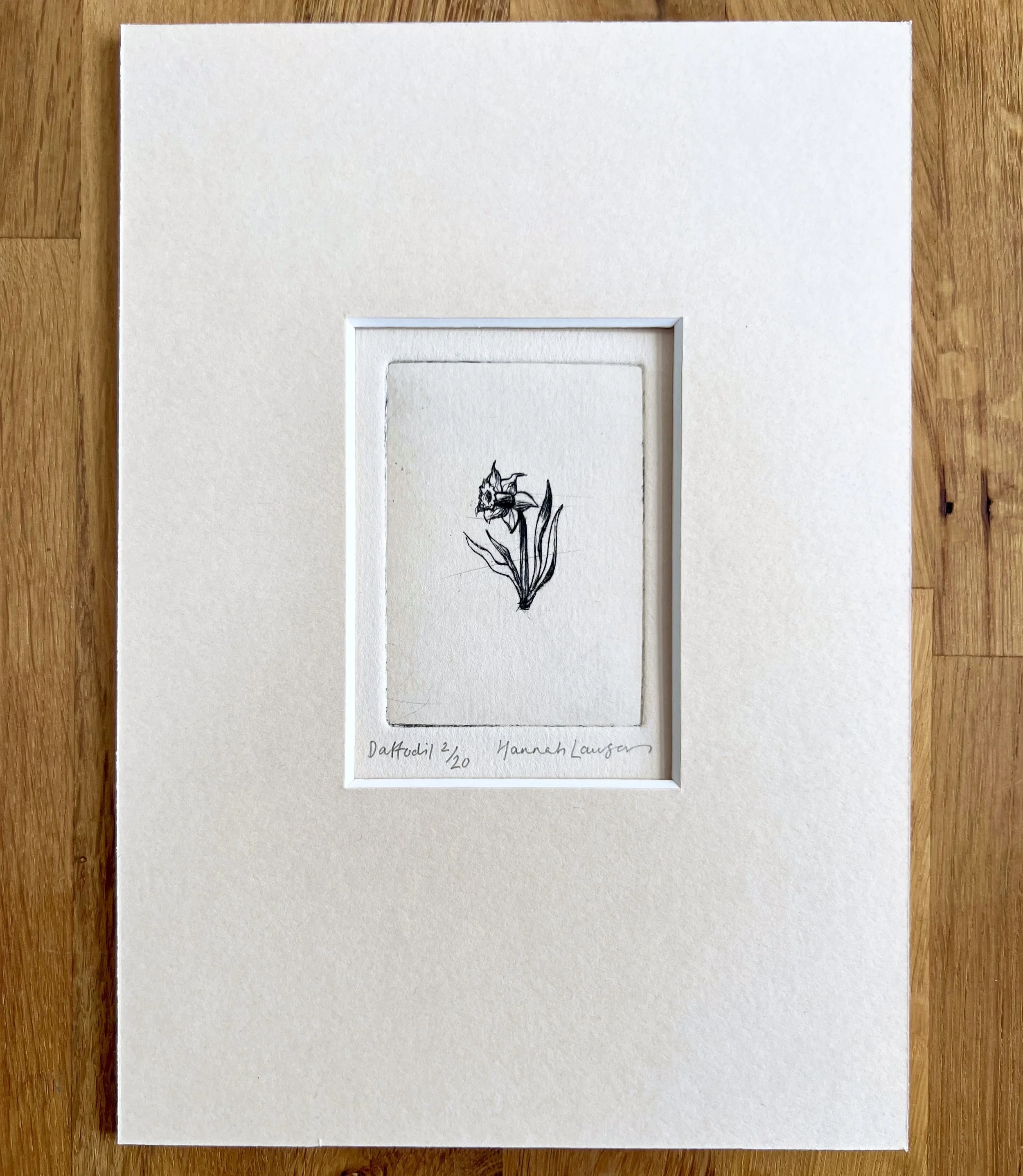 Daffodil drypoint print