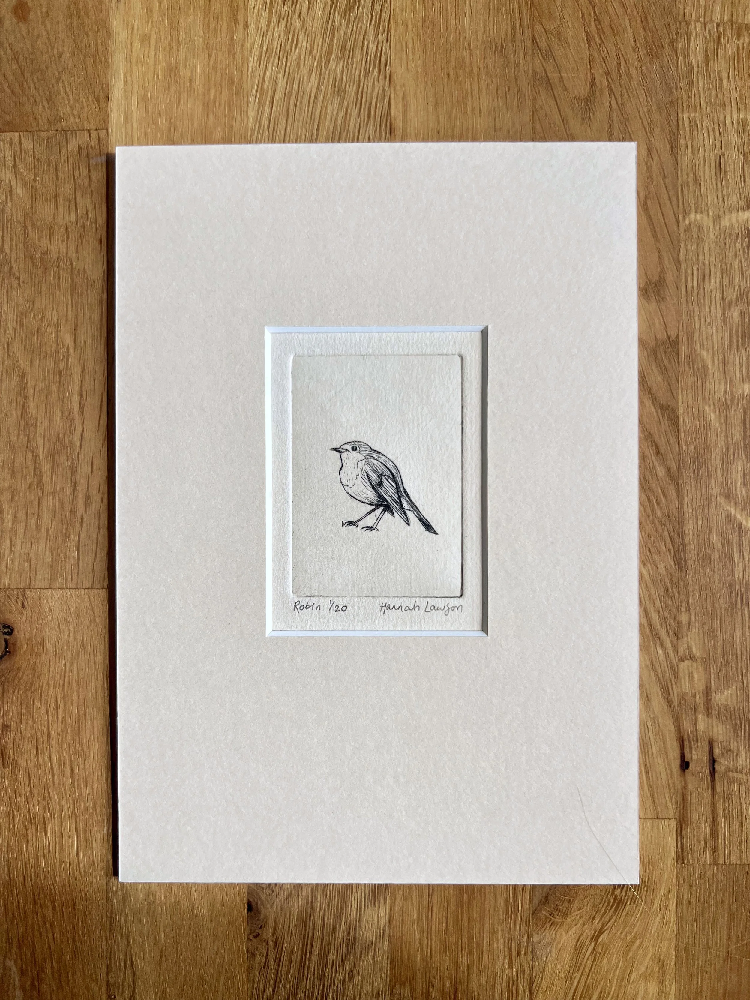 Robin drypoint print