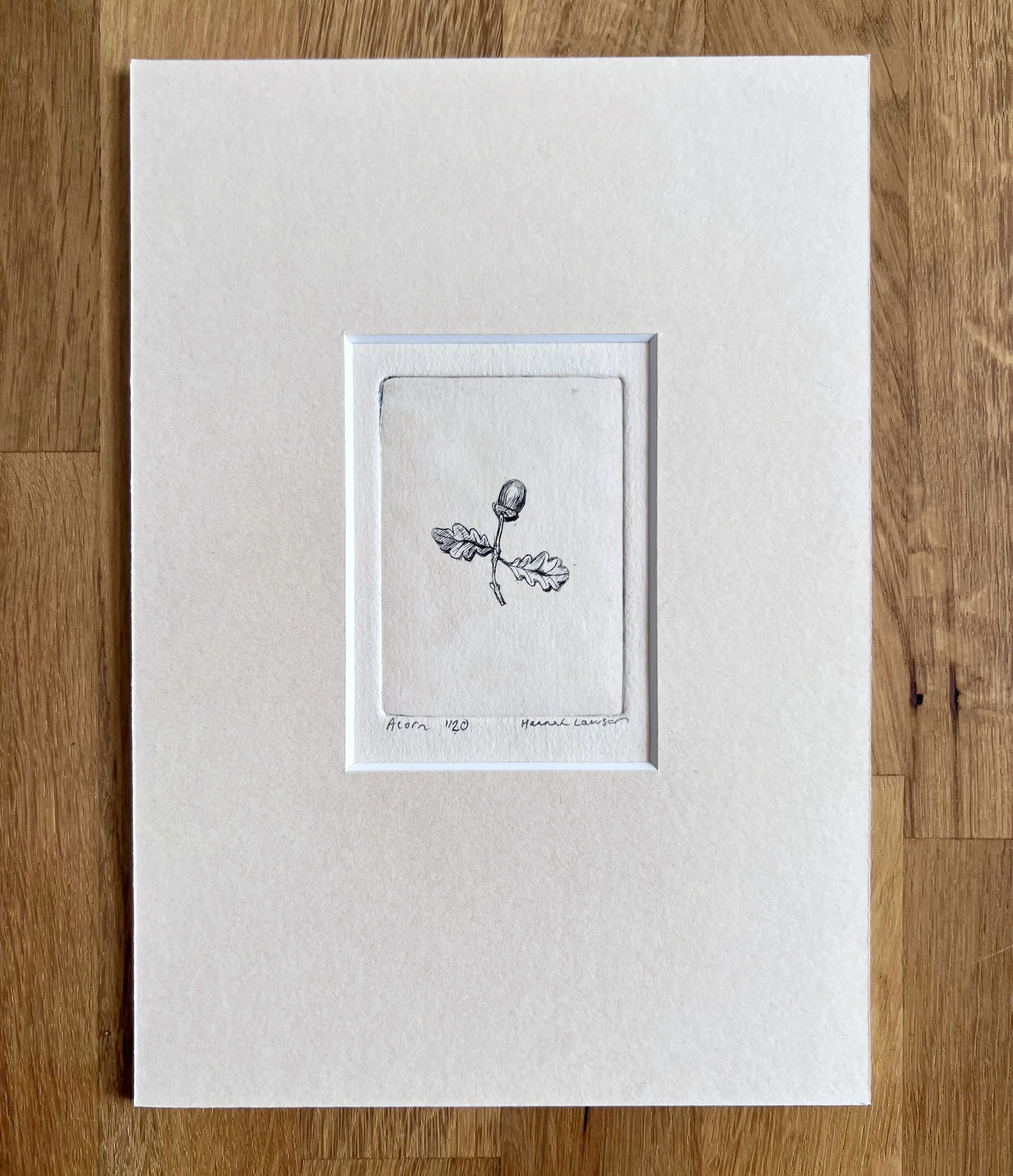 Acorn drypoint print