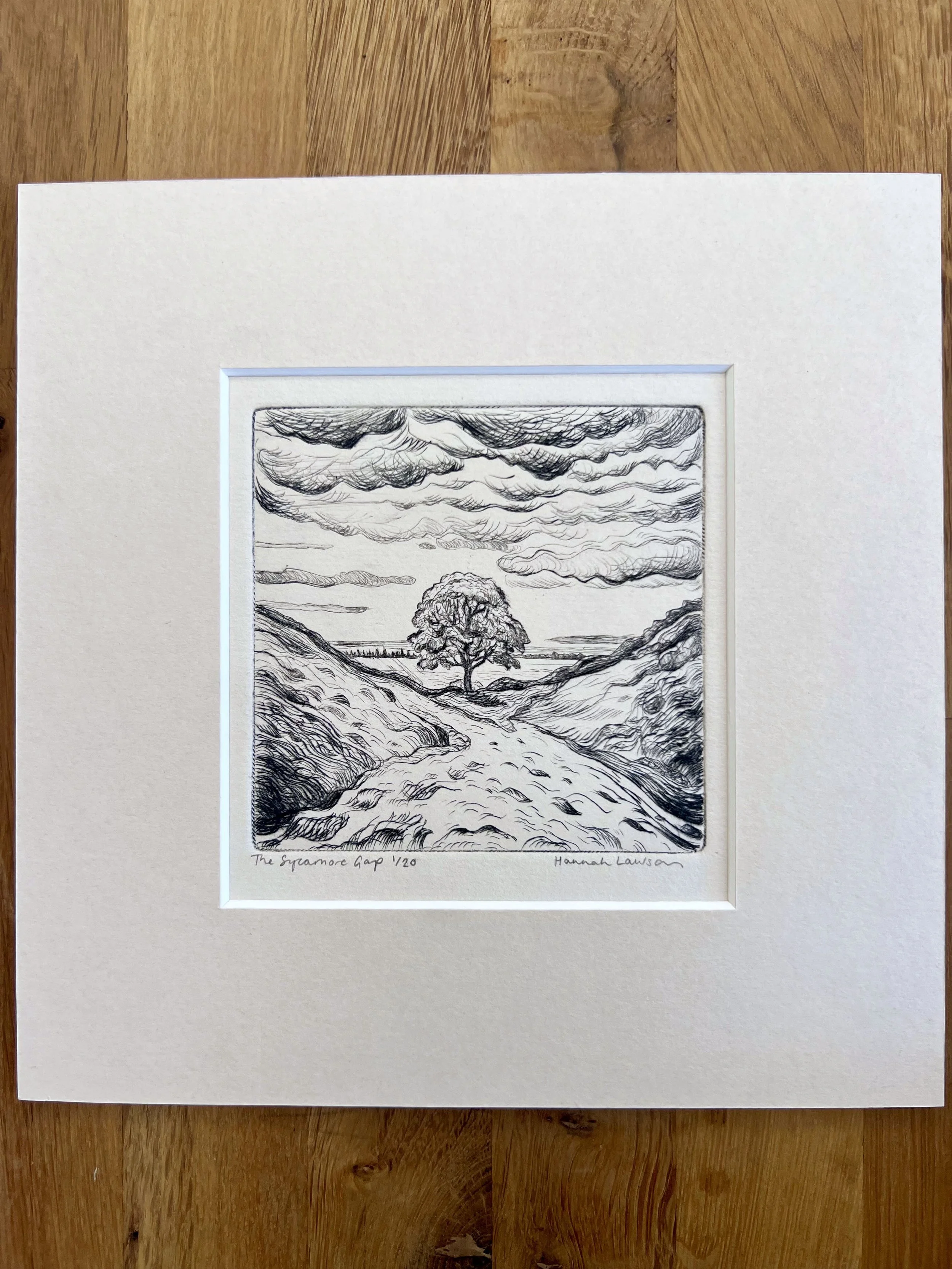 Sycamore Gap drypoint print