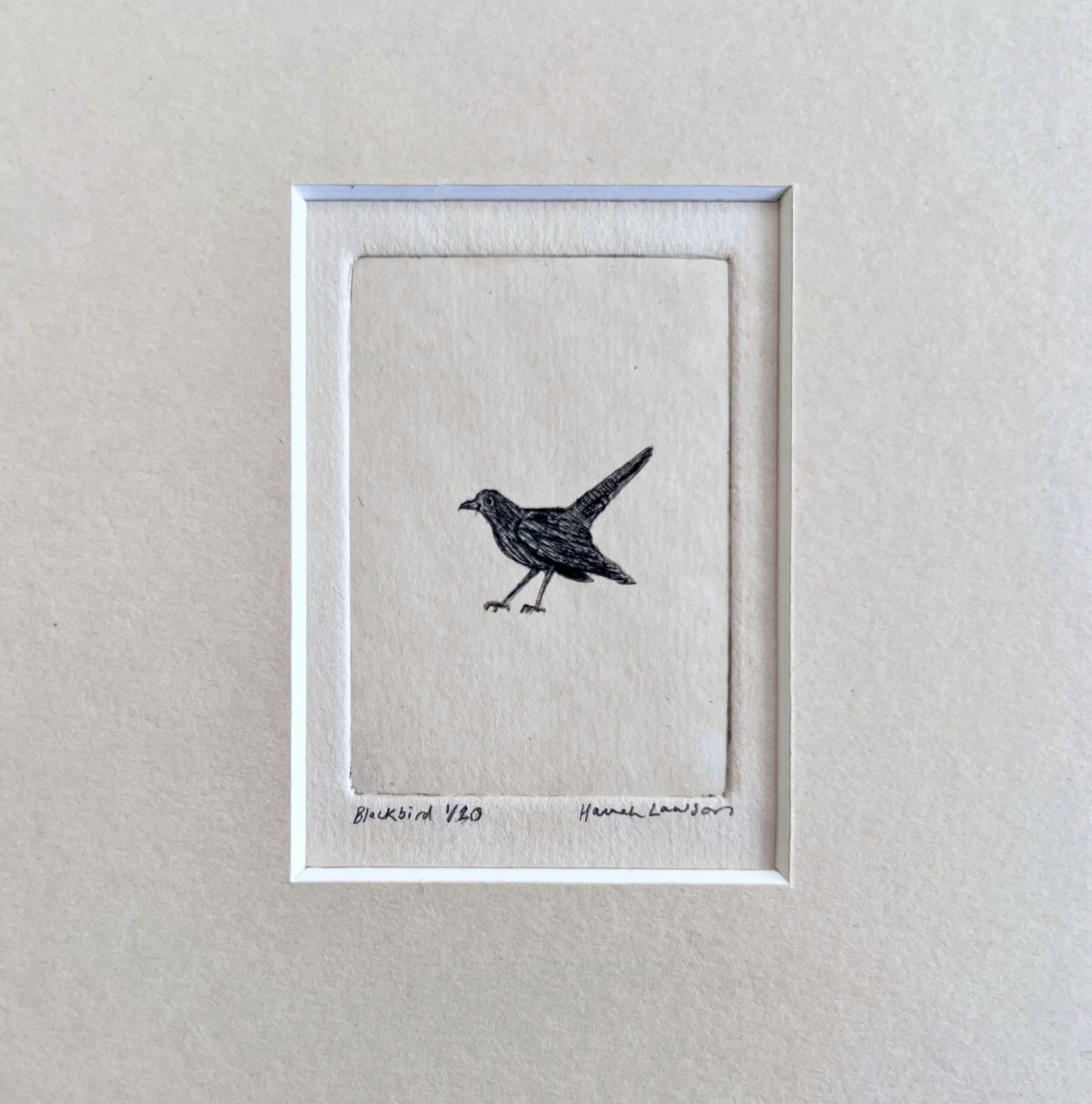 Blackbird1.jpeg