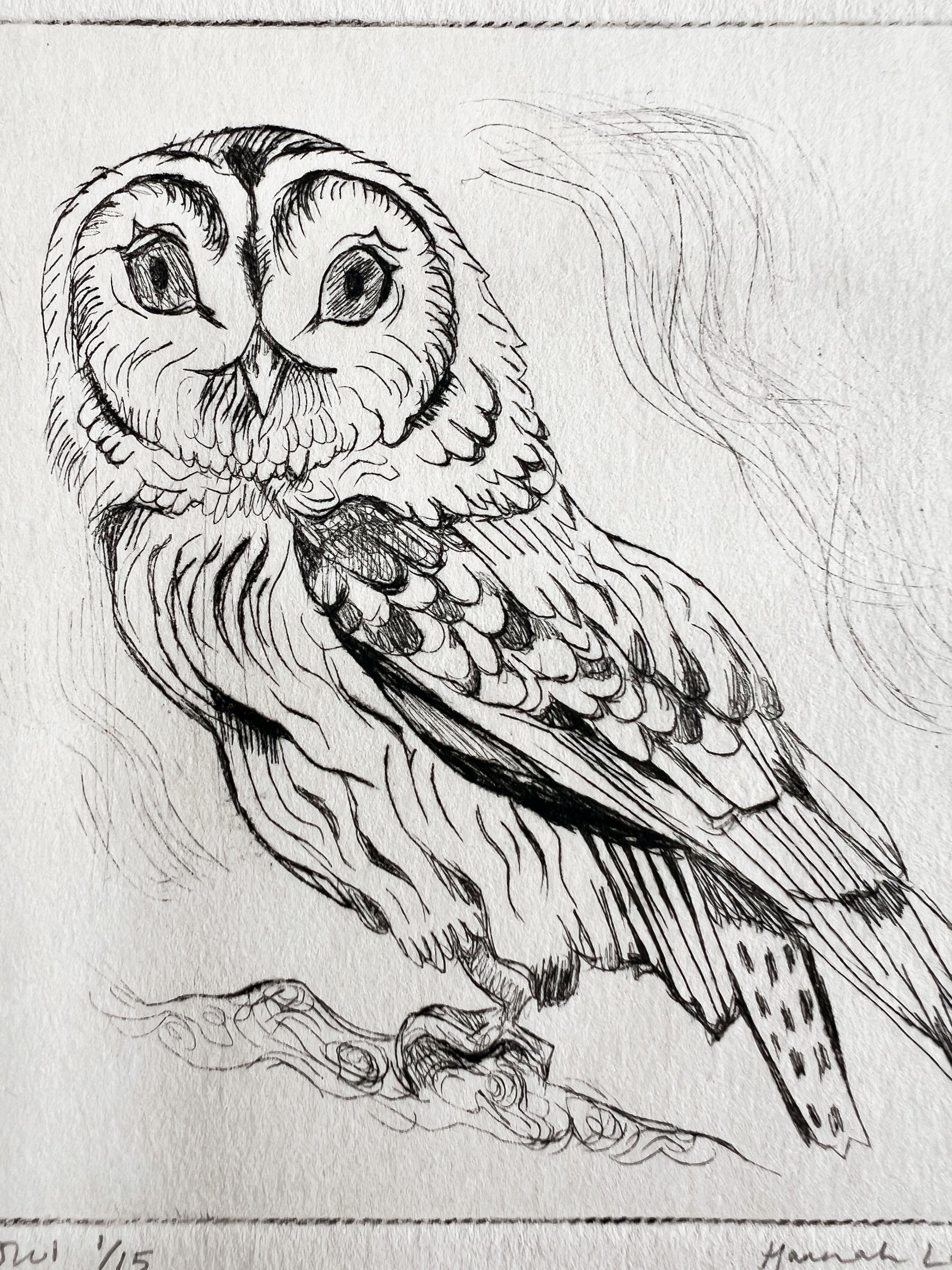 owl1.jpg