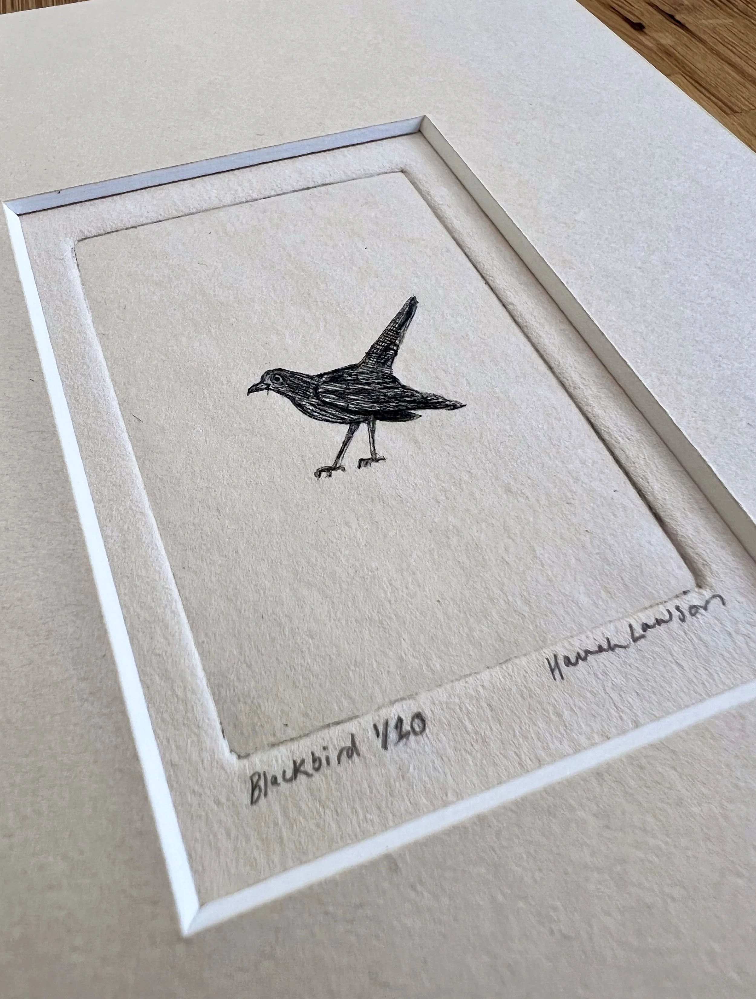 Blackbird3.jpeg