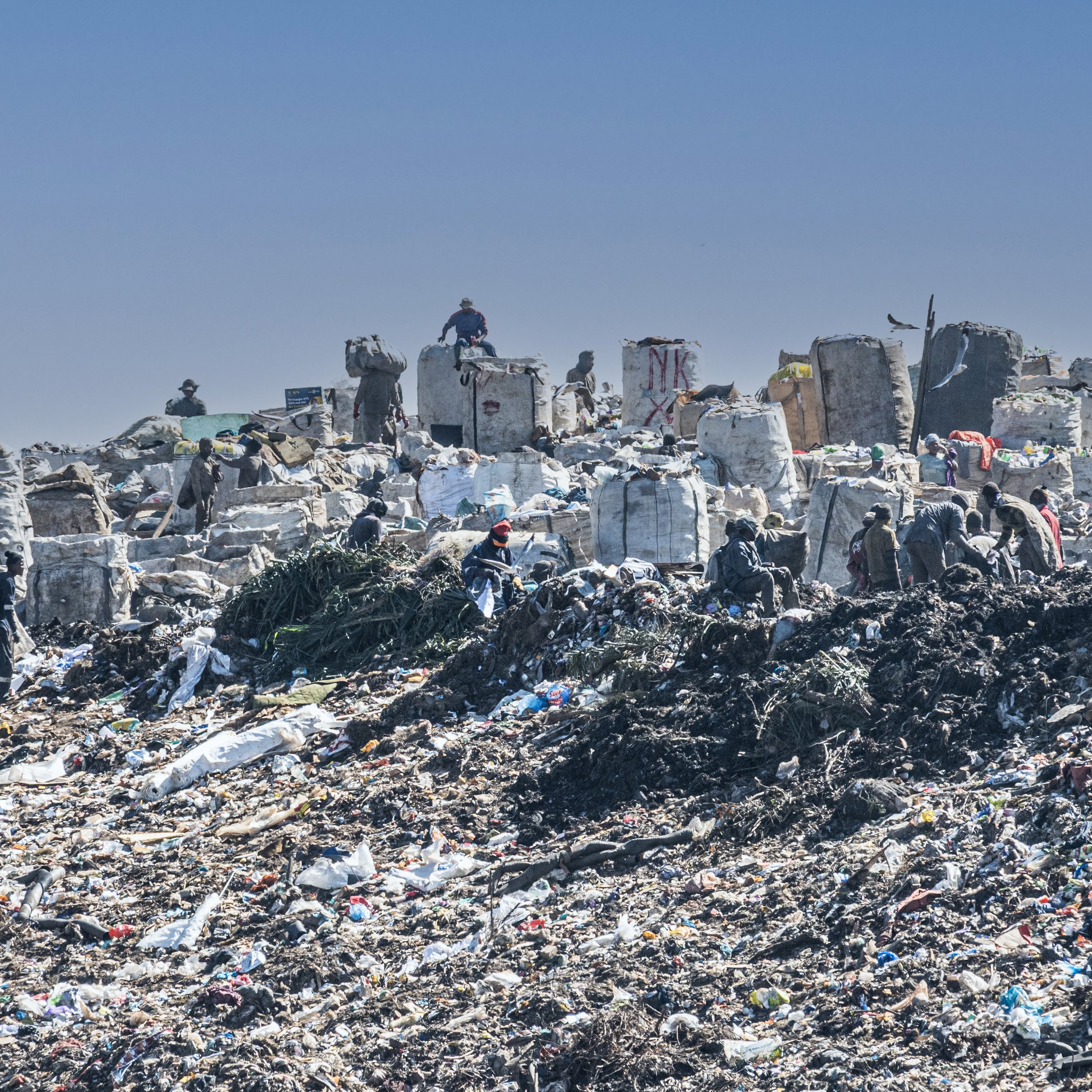 Joburg's Waste Crisis Nears Public Health Emergency